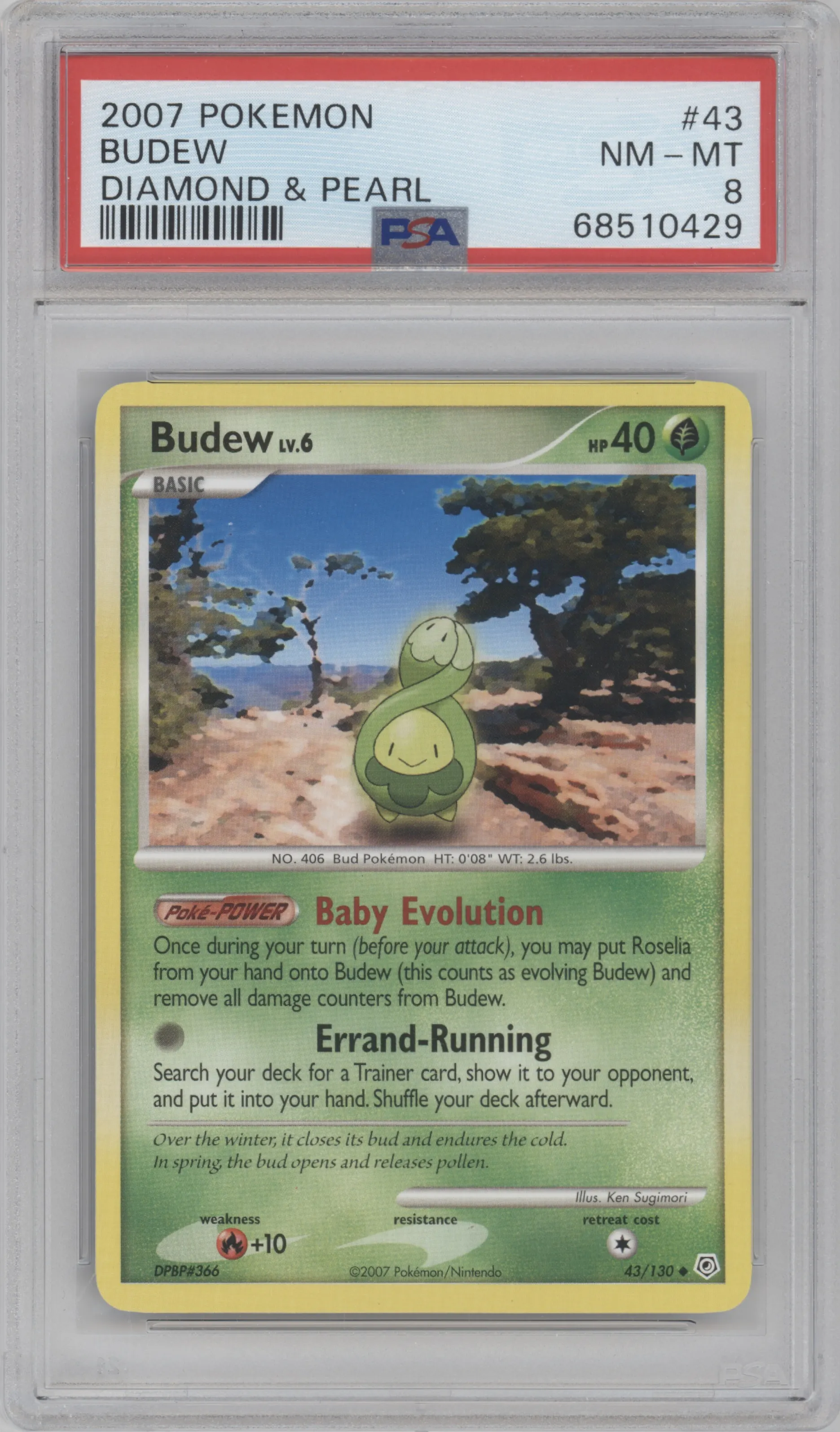 2007 Pokemon D&P Budew #43 PSA 8