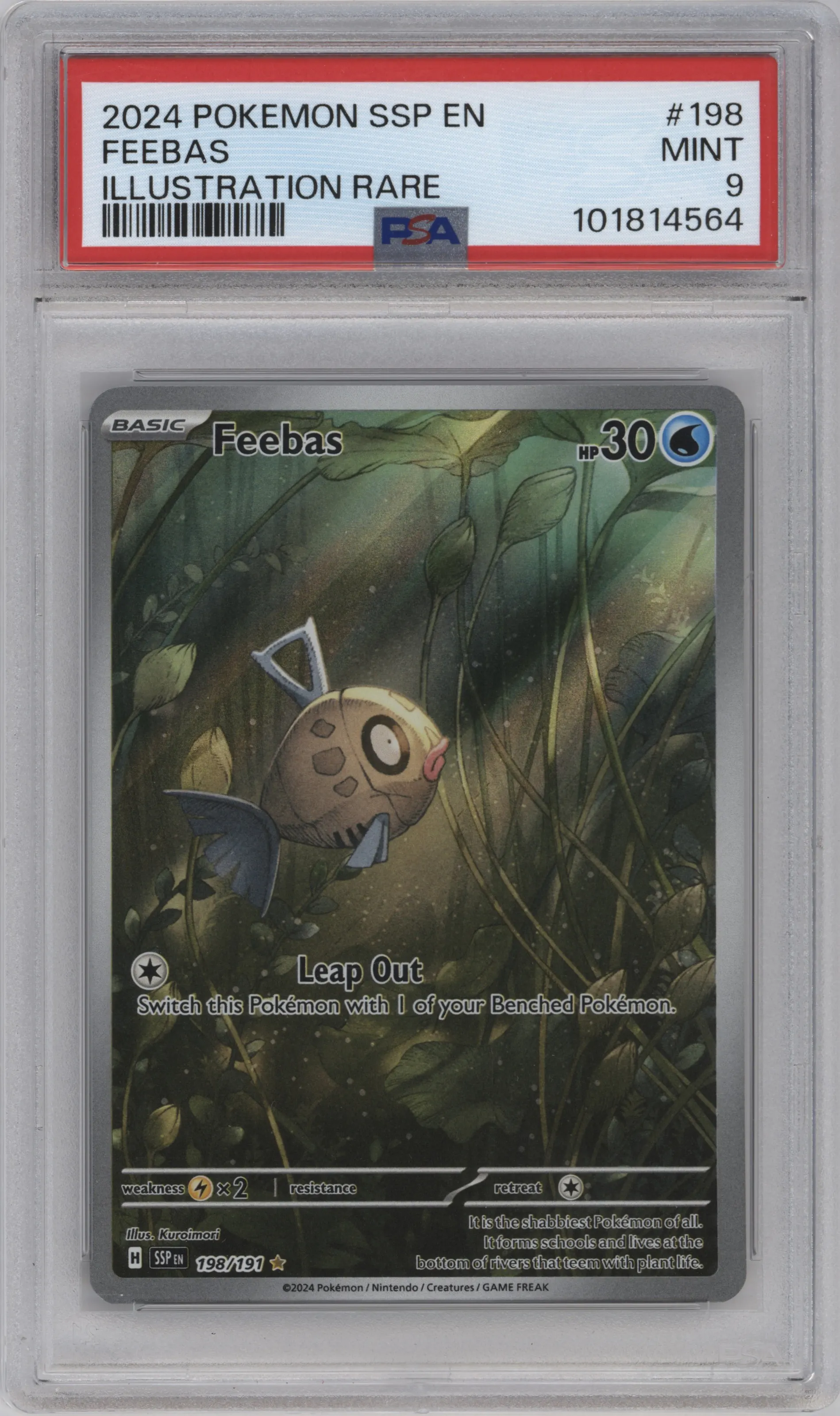 Feebas | ARENA CLUB