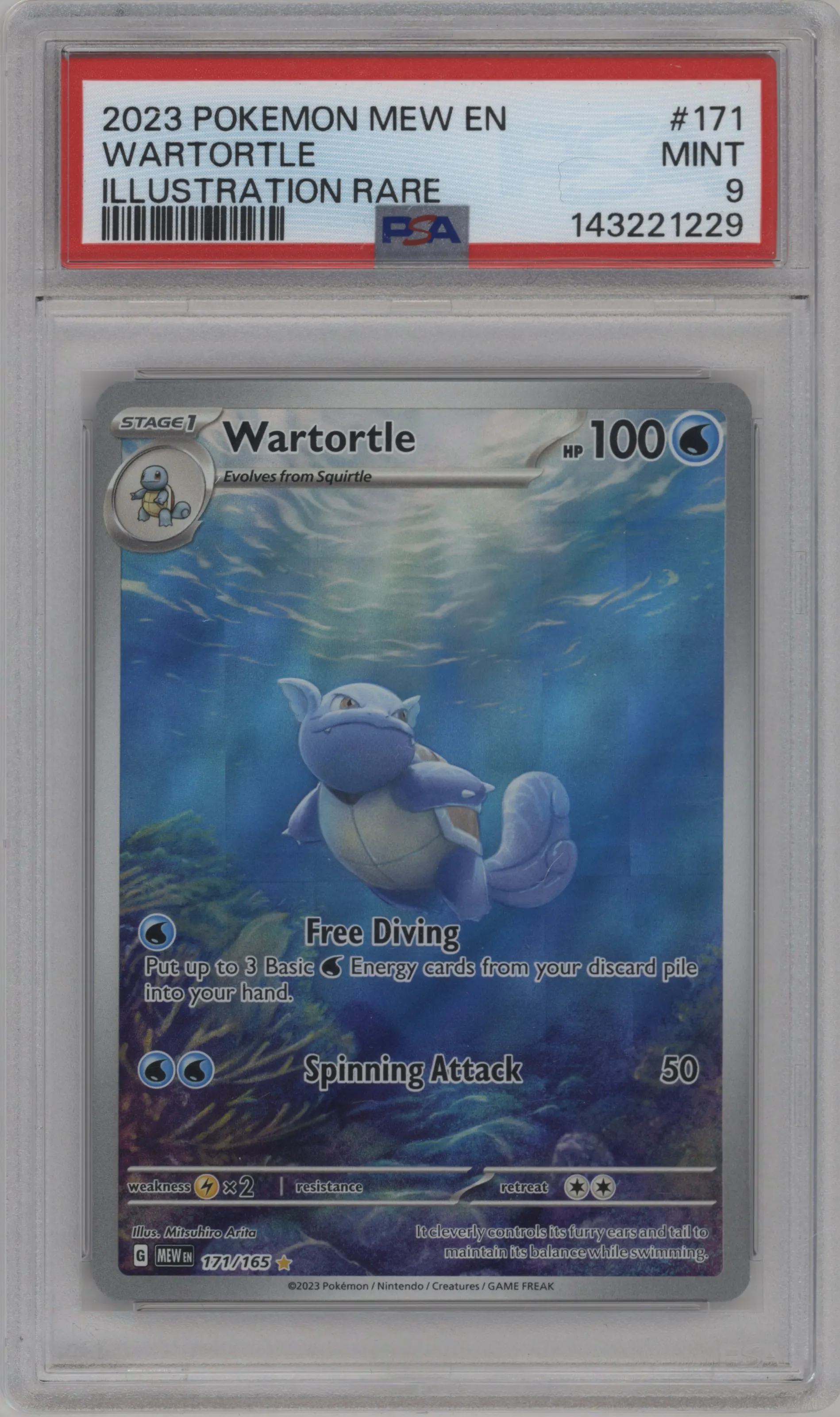 Wartortle
