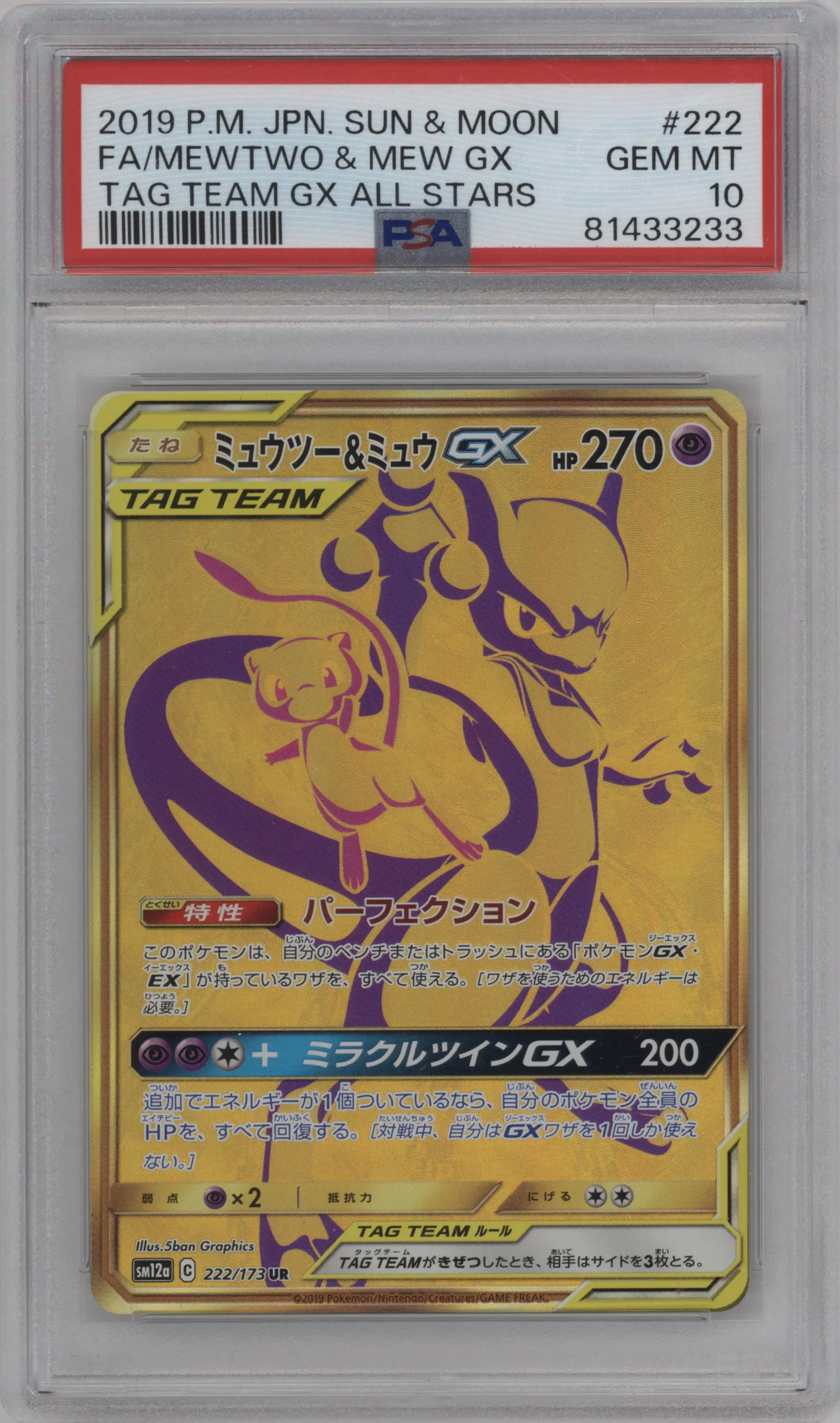 Mewtwo & Mew GX