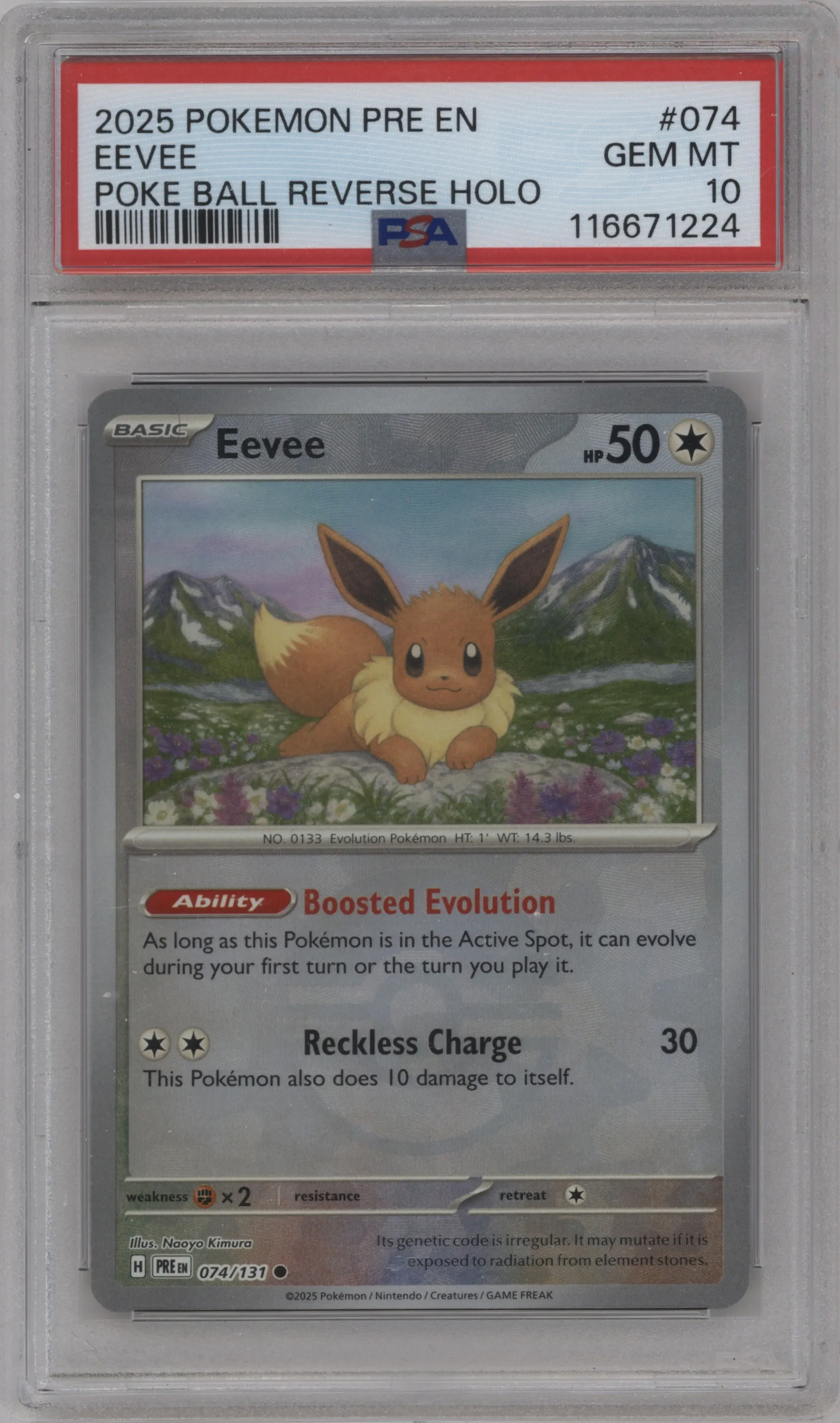 Eevee