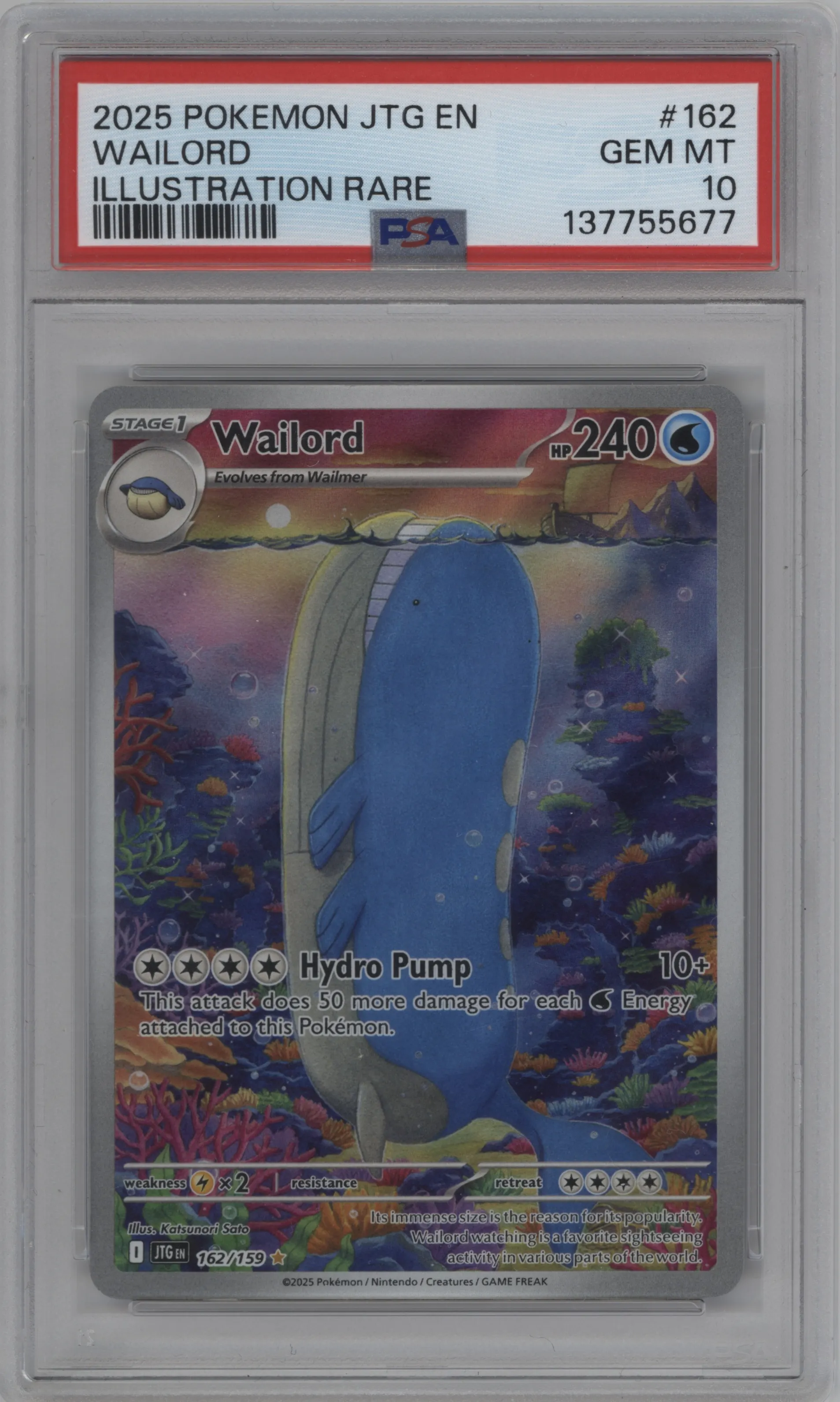 Wailord