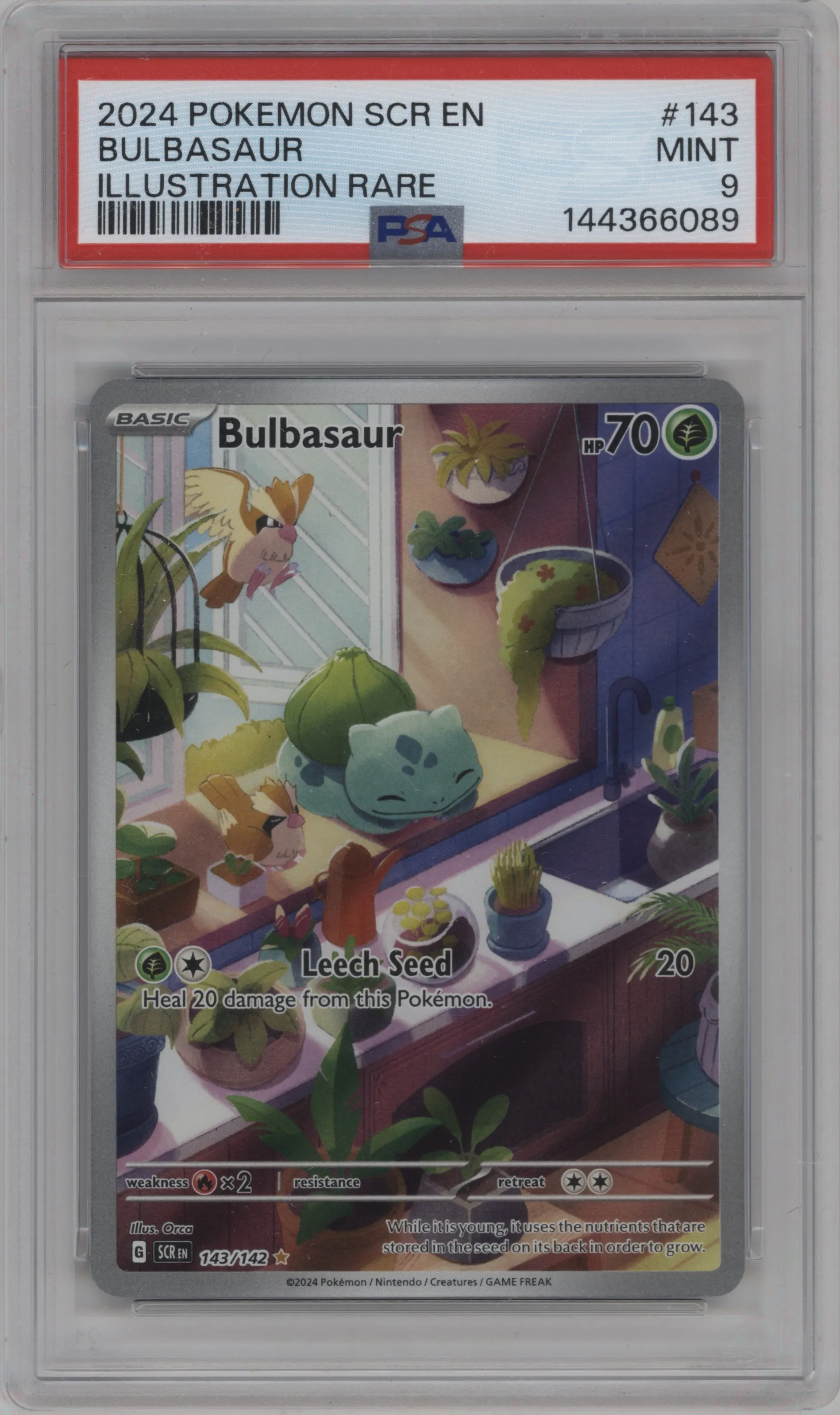 Bulbasaur