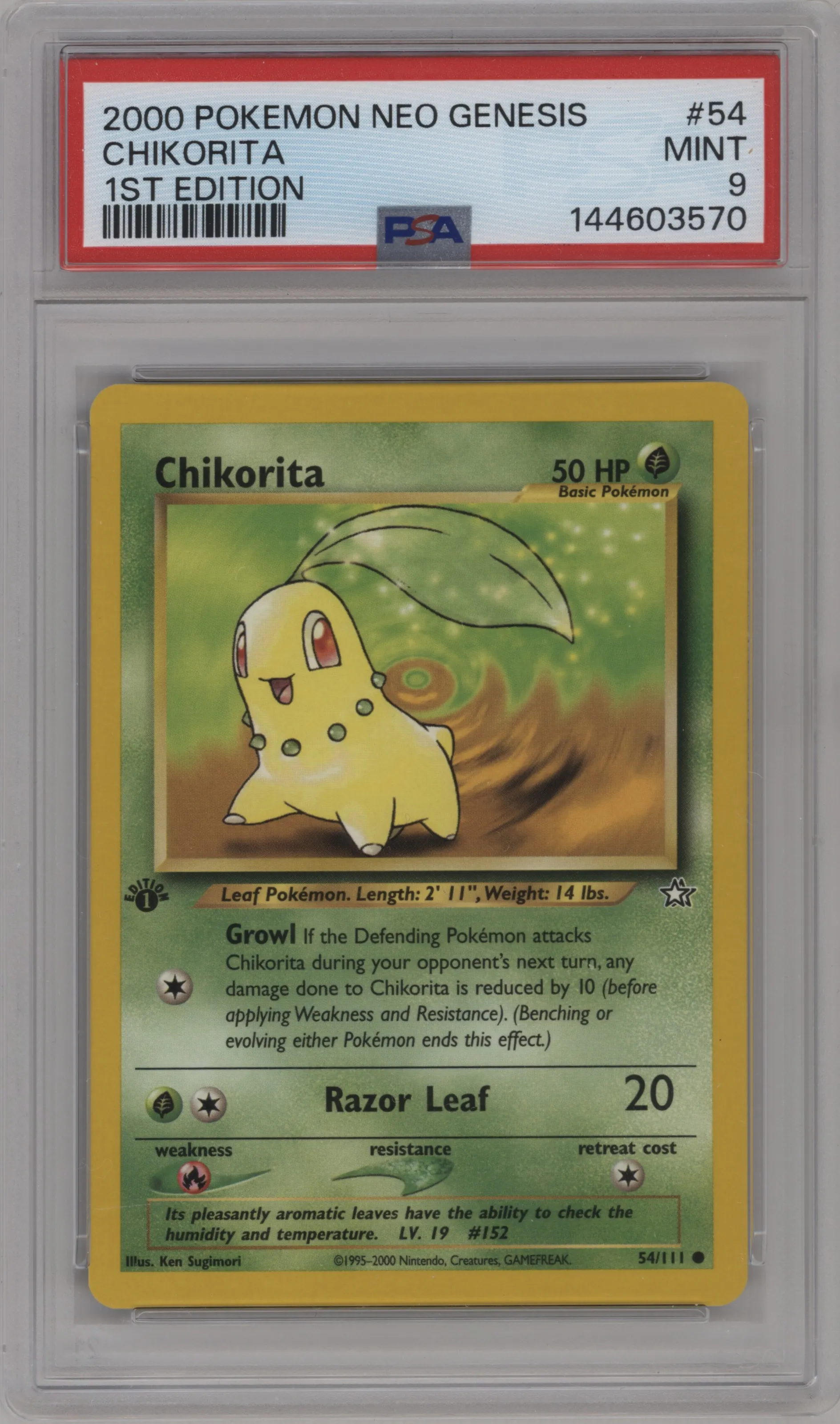 Chikorita