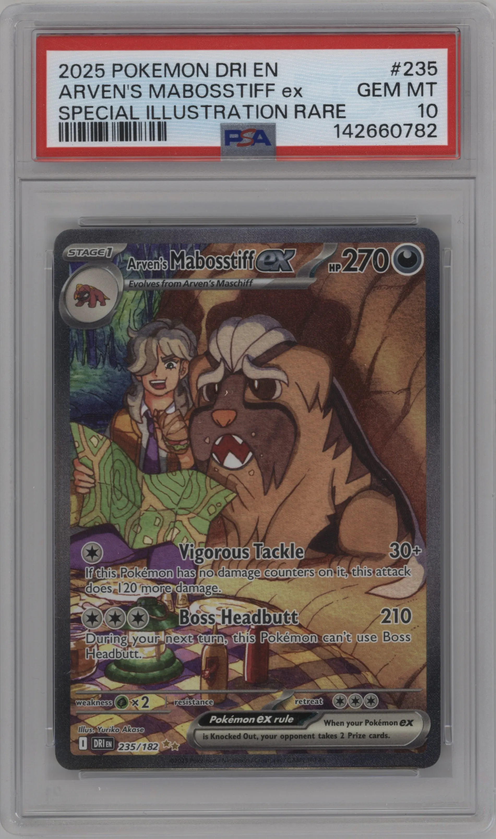 Arven's Mabosstiff ex