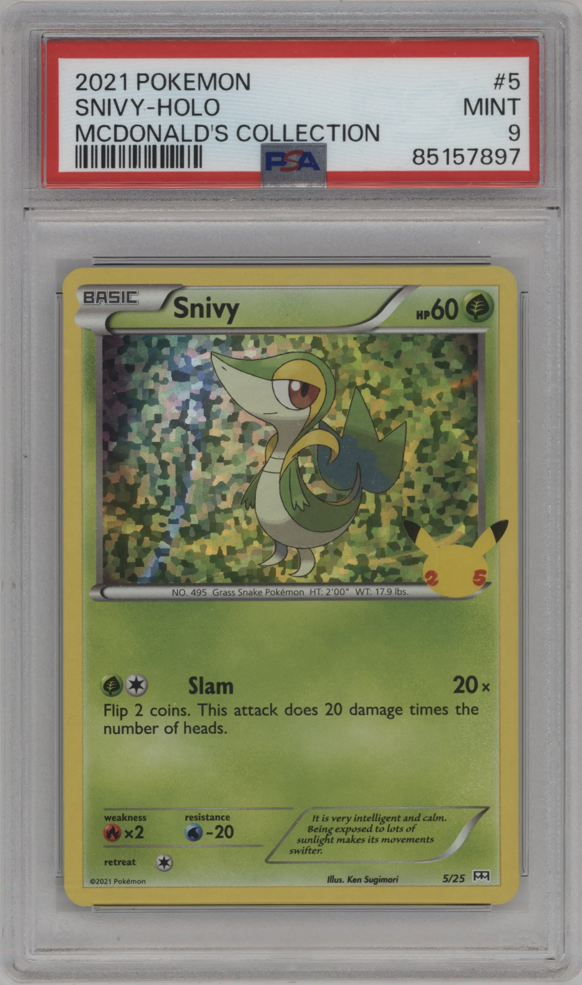 Snivy