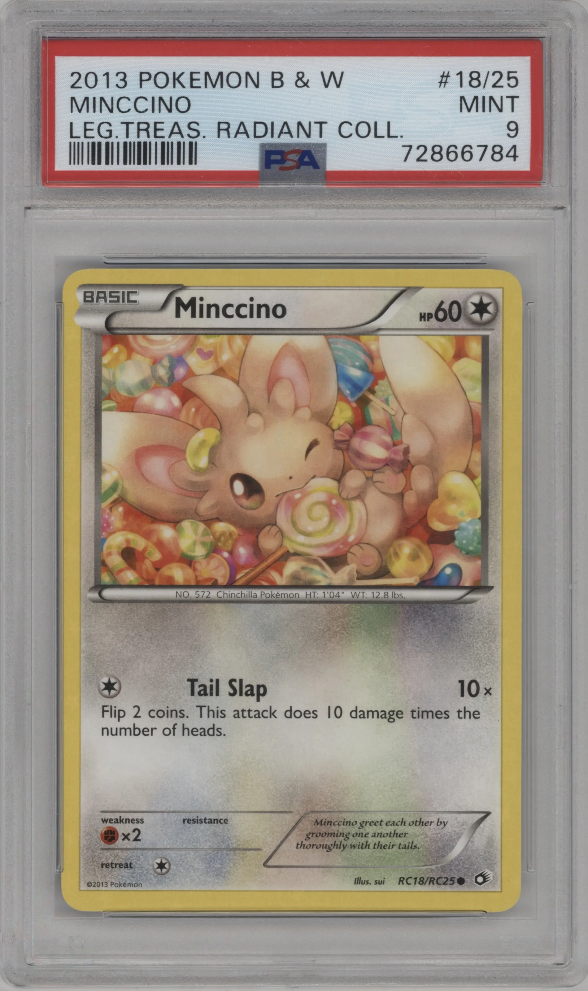 Minccino