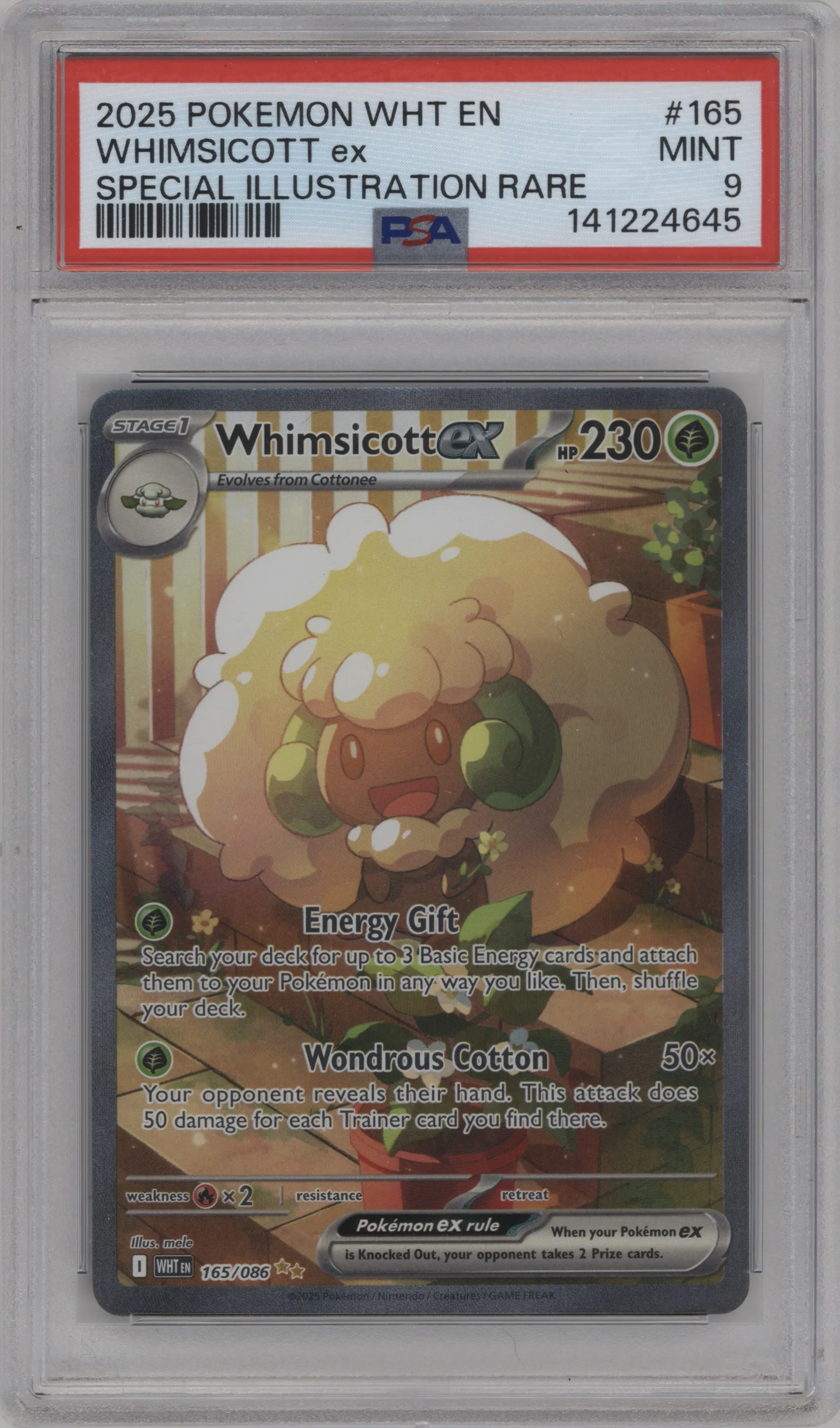 Whimsicott ex