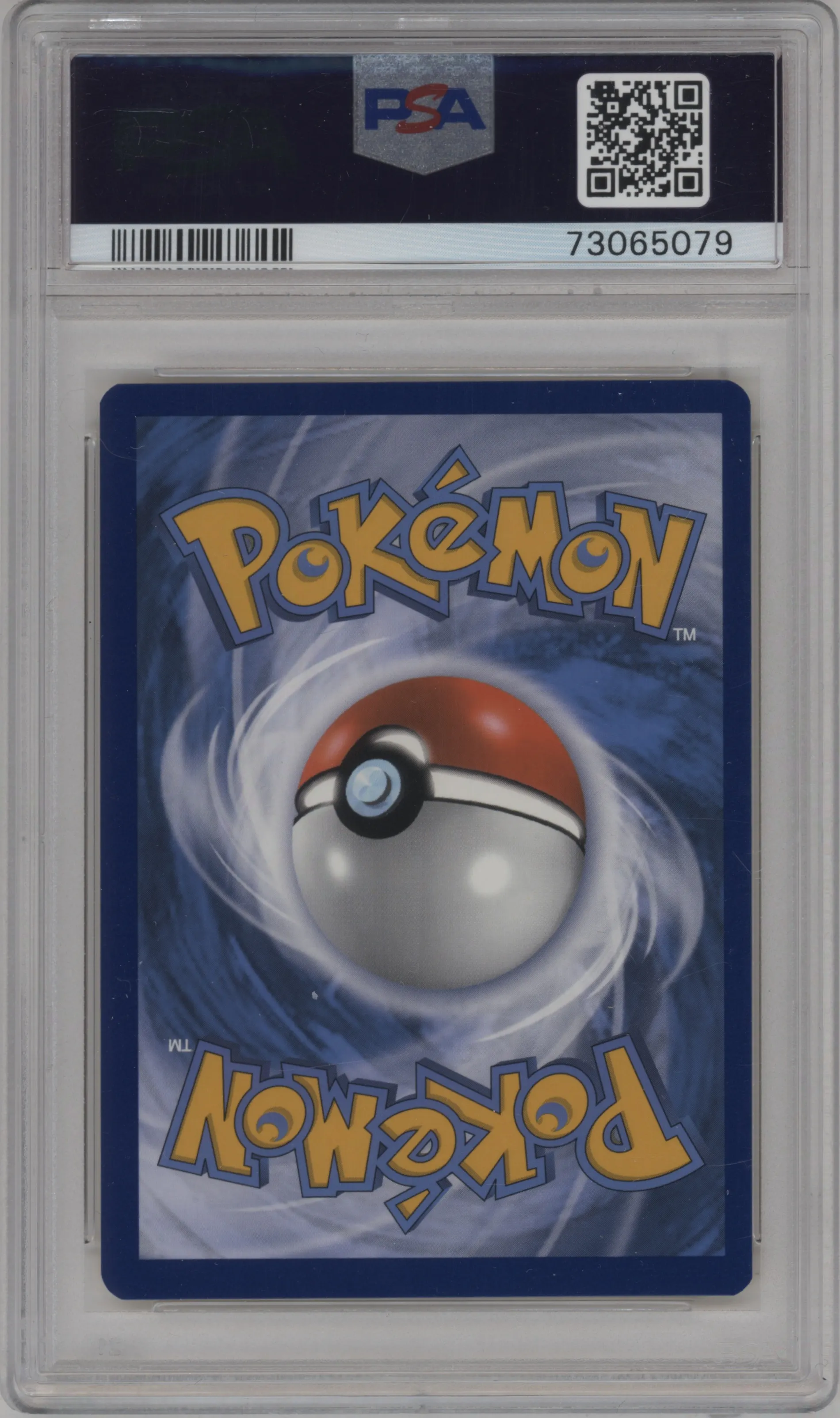 Special Delivery Charizard 