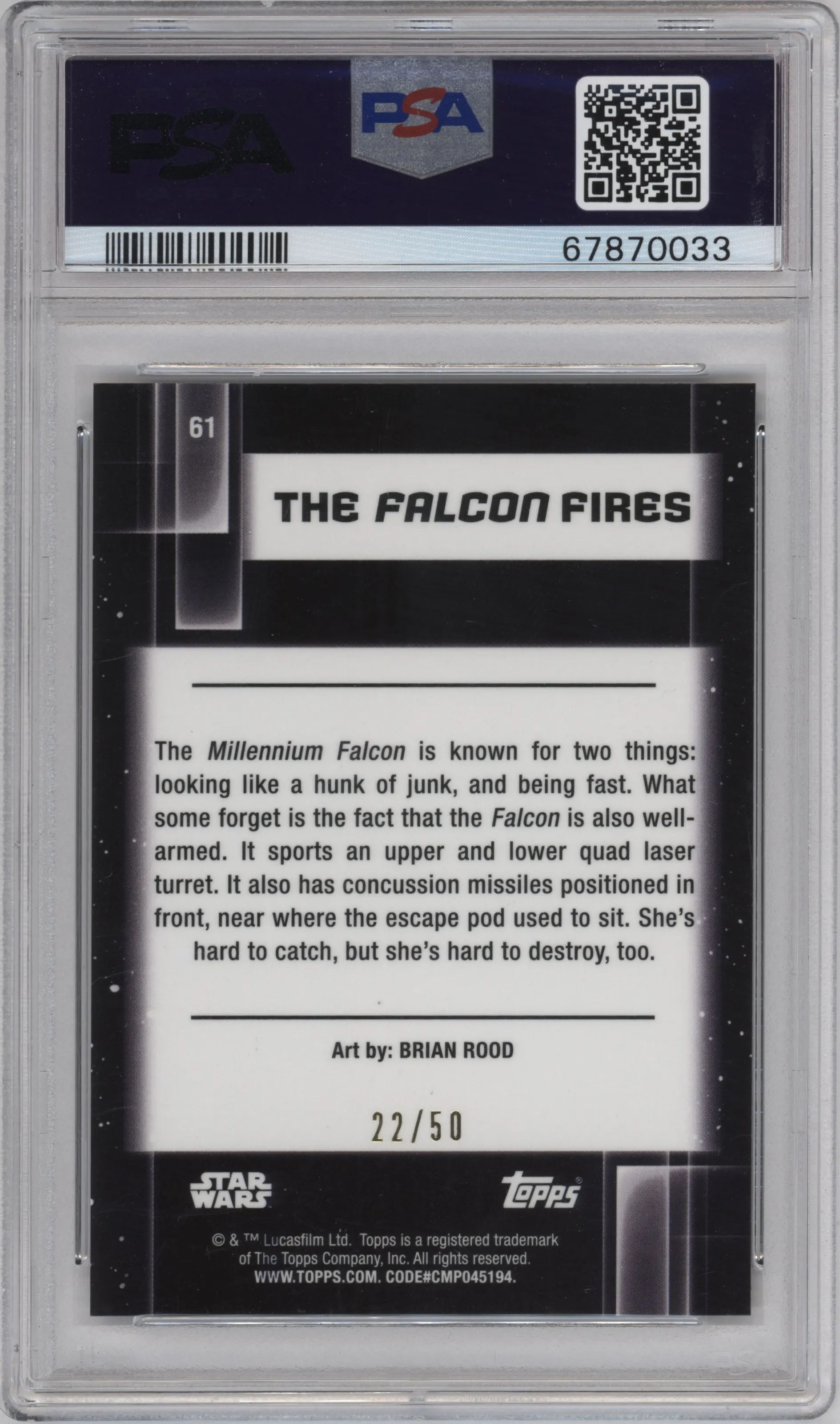 The Falcon Fires