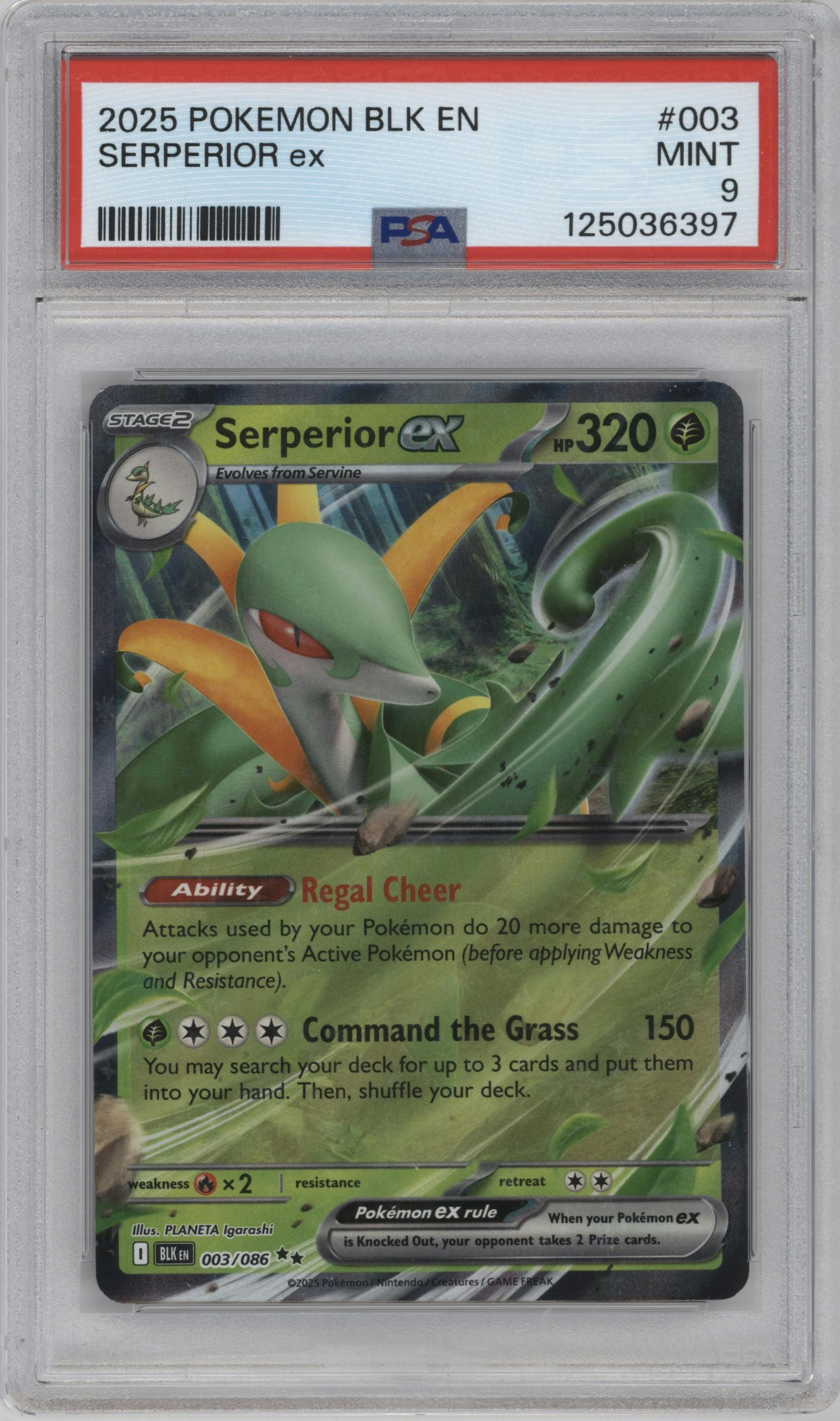Serperior ex