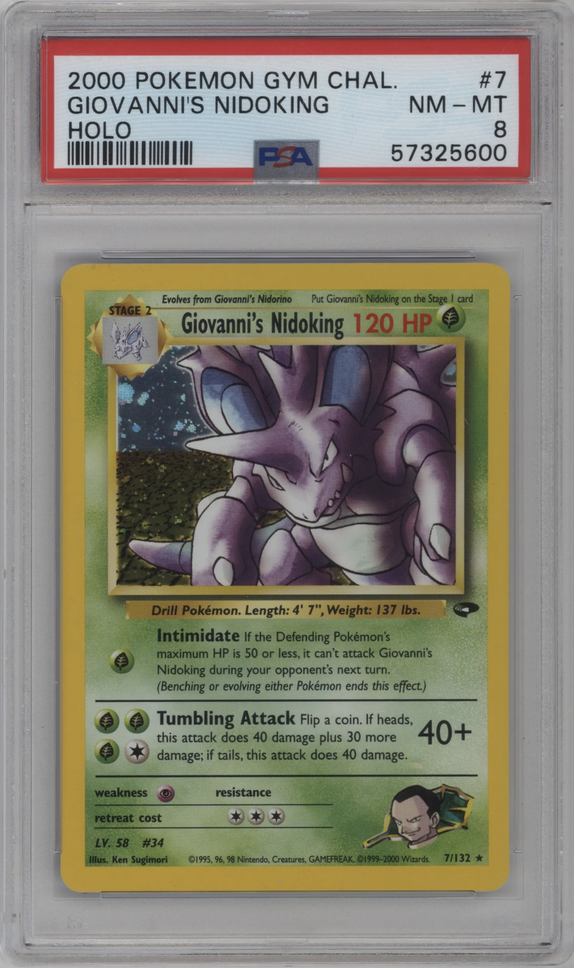 Giovanni's Nidoking