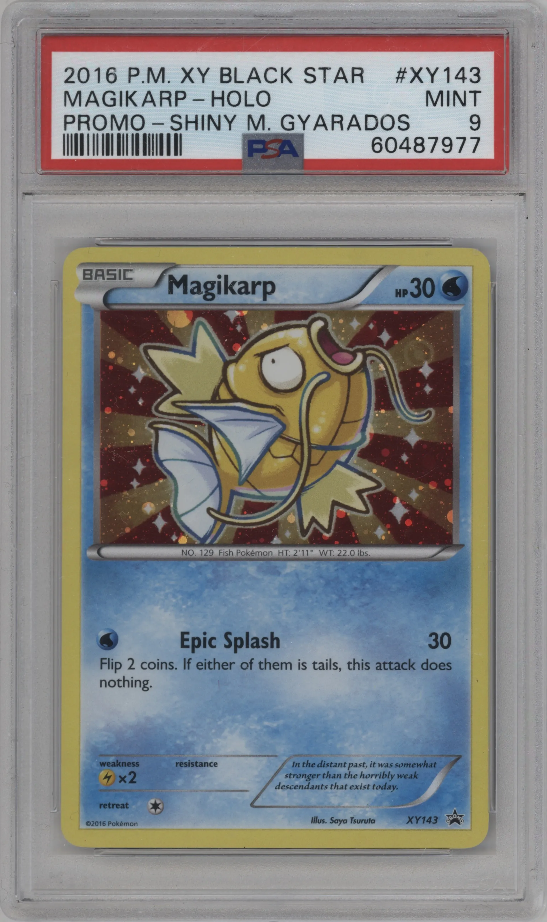 Magikarp