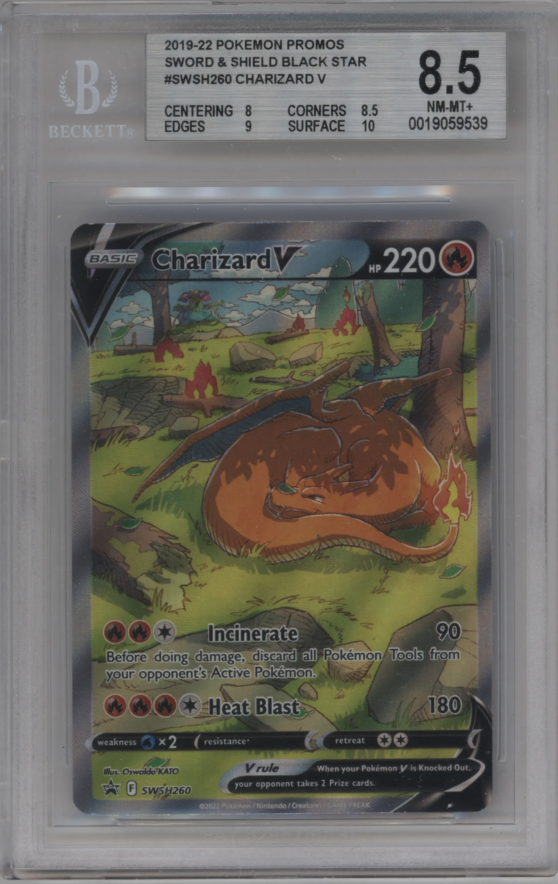 Charizard V