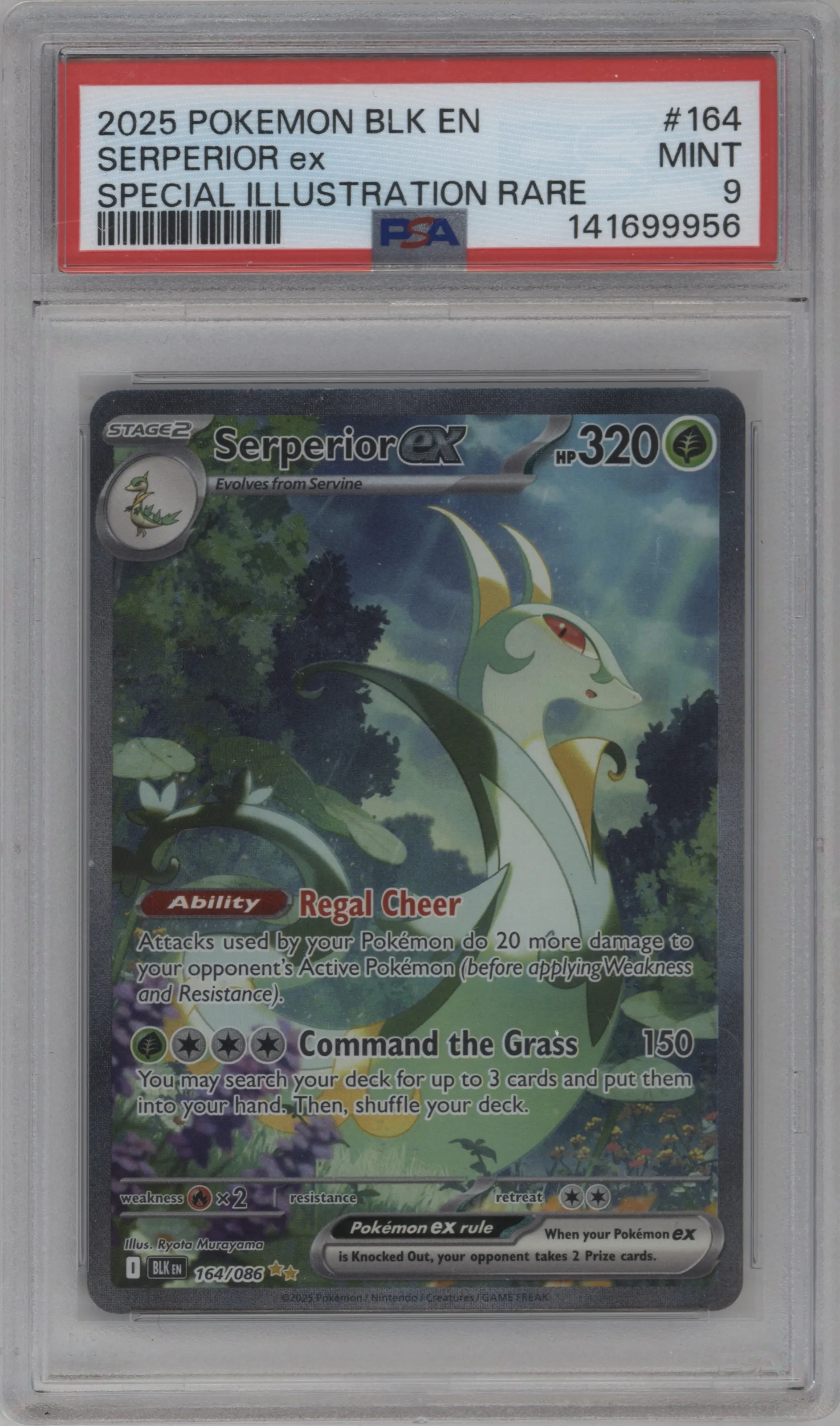 Serperior ex