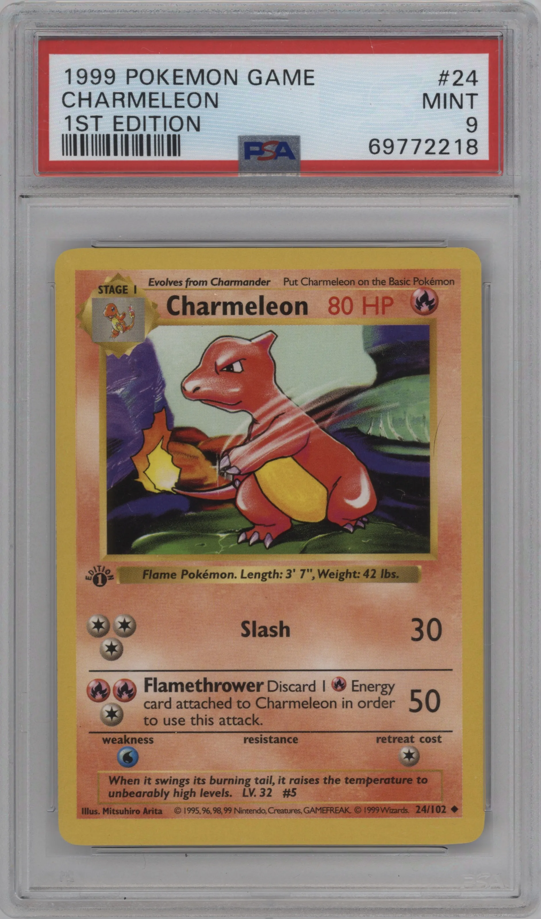  Charmeleon