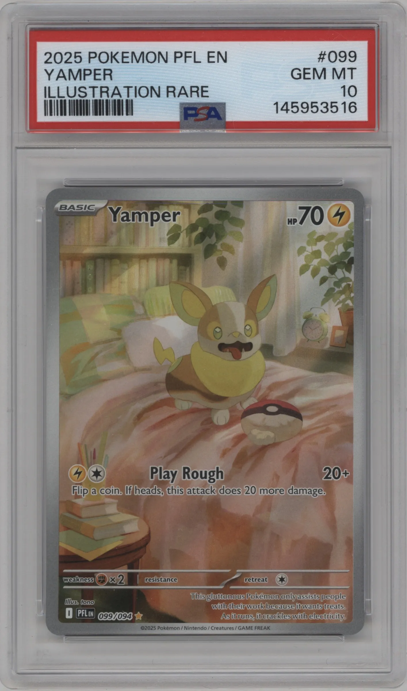 Yamper