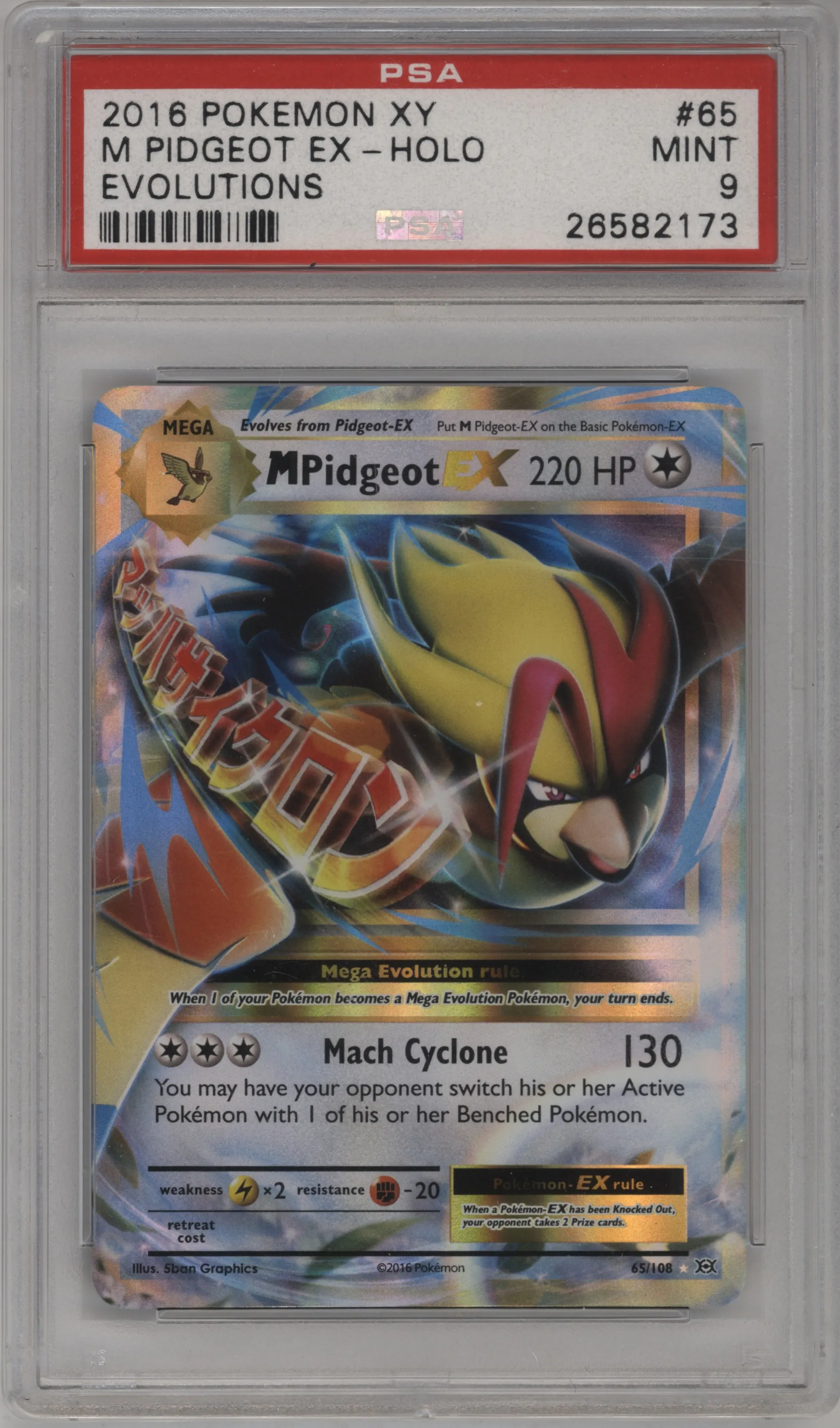 M Pidgeot EX
