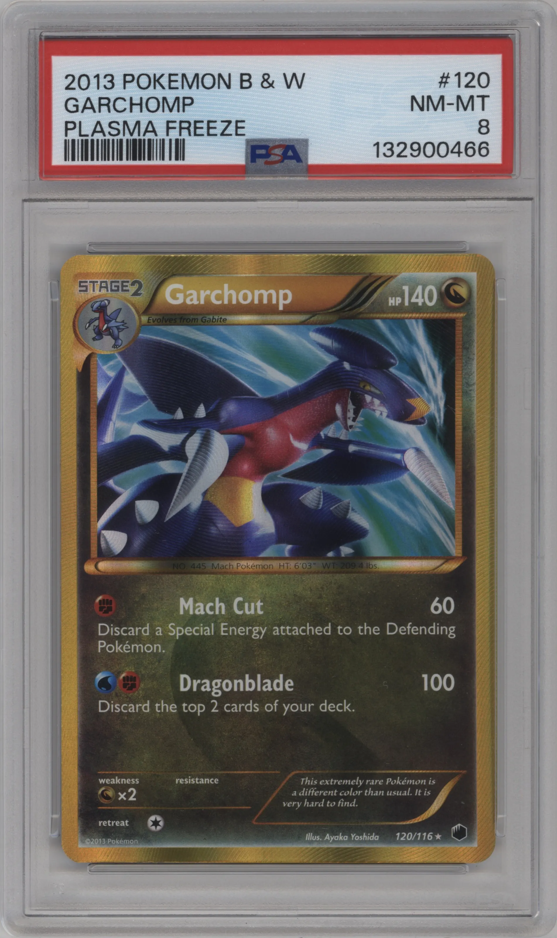 Garchomp