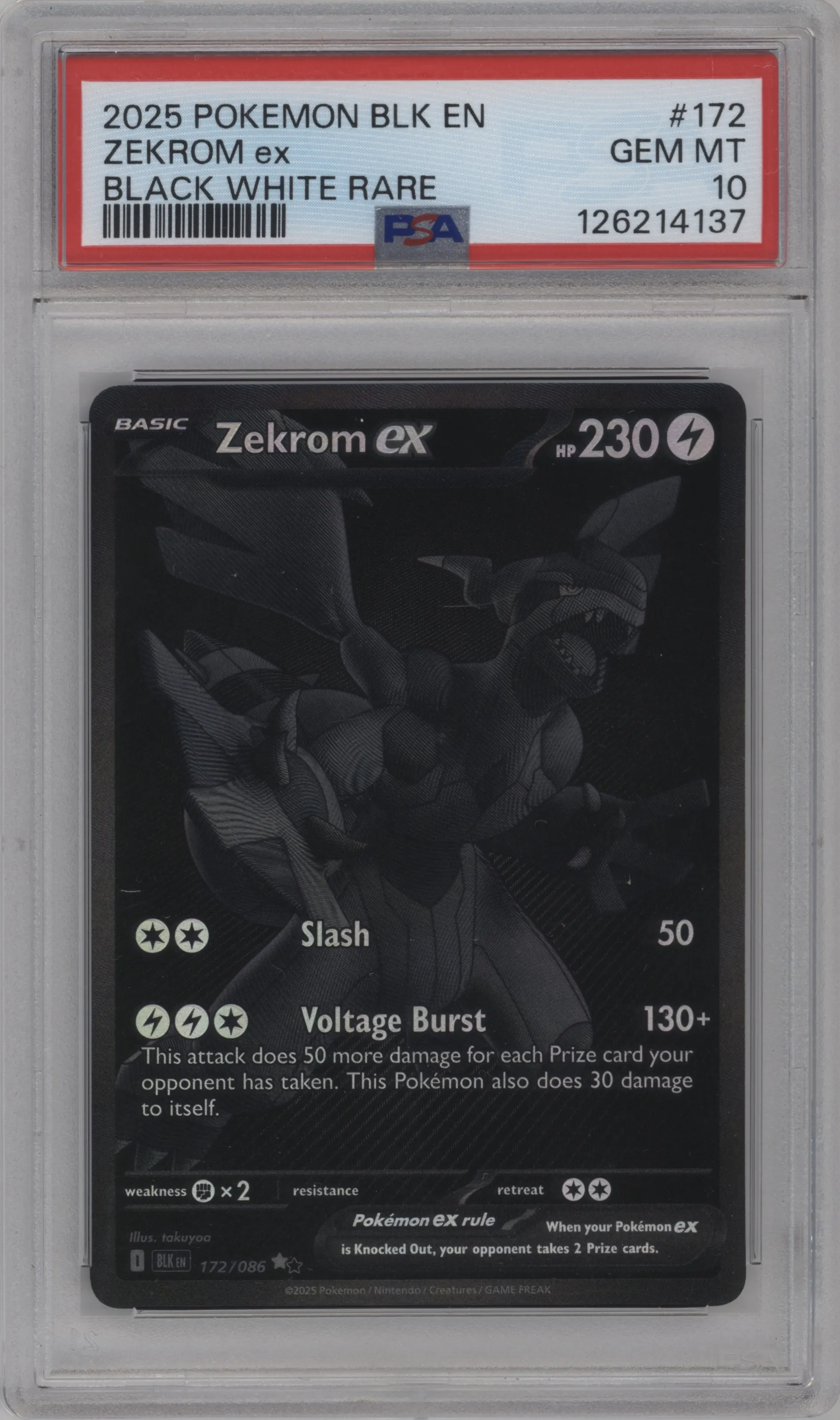 Zekrom ex