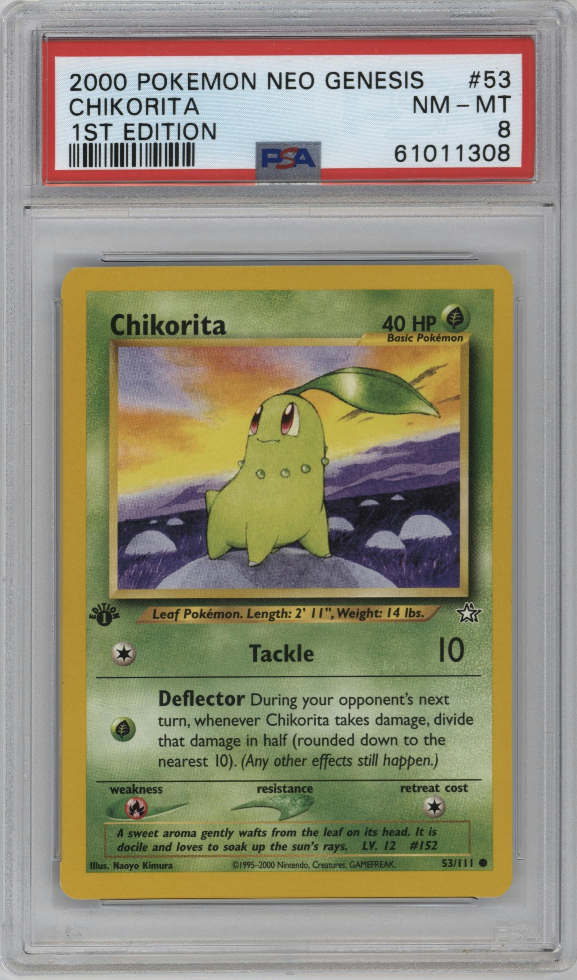 Chikorita