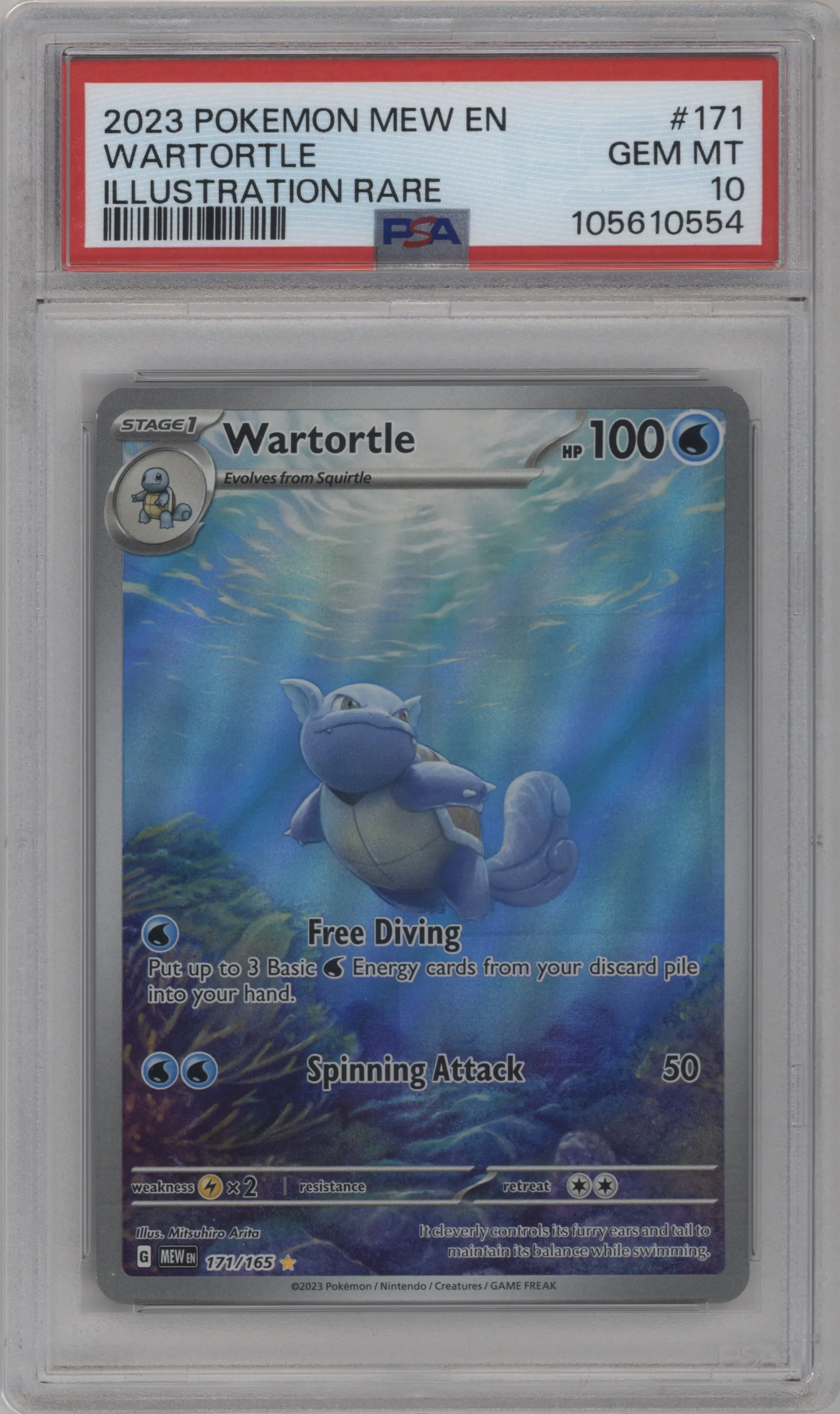 Wartortle