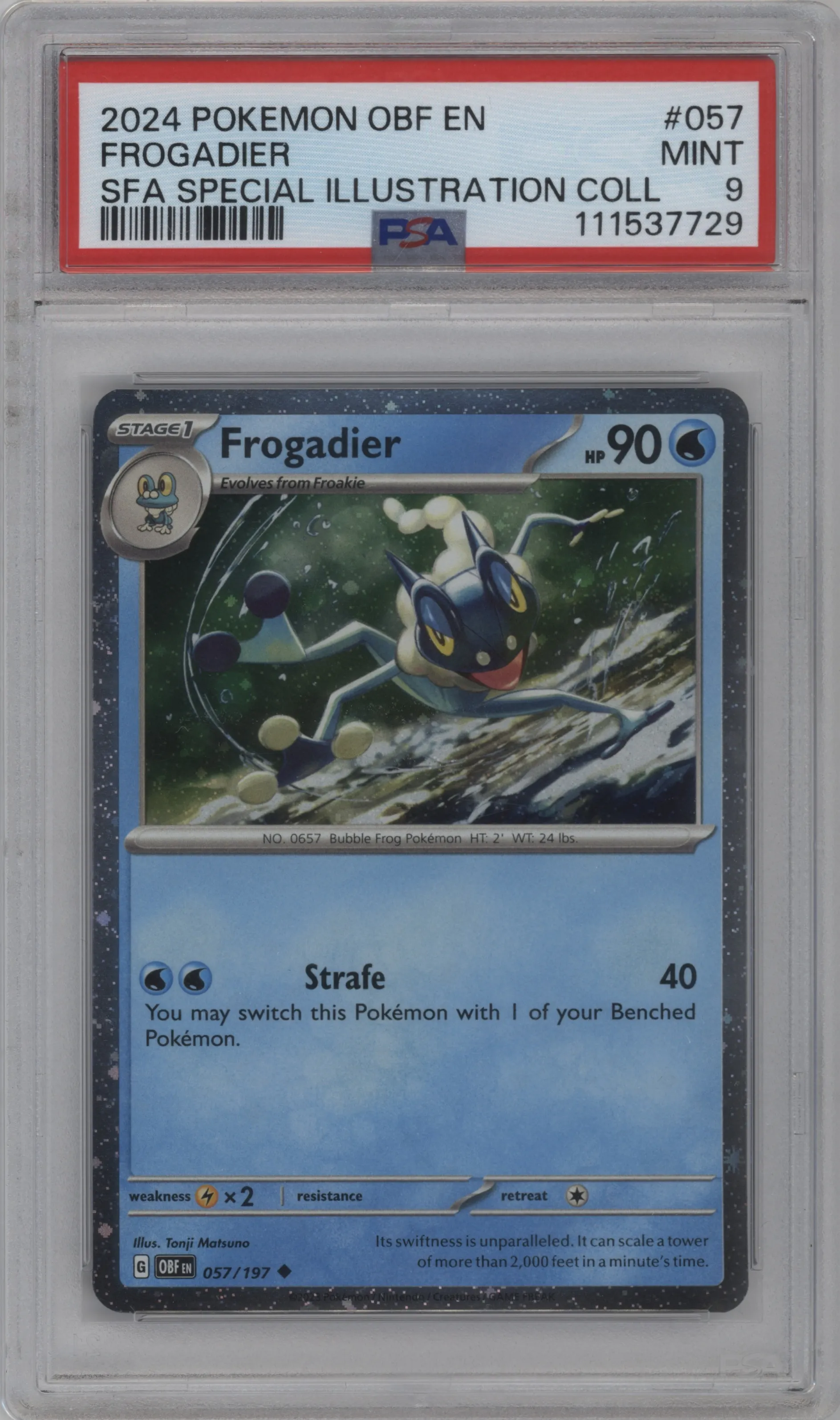 Frogadier