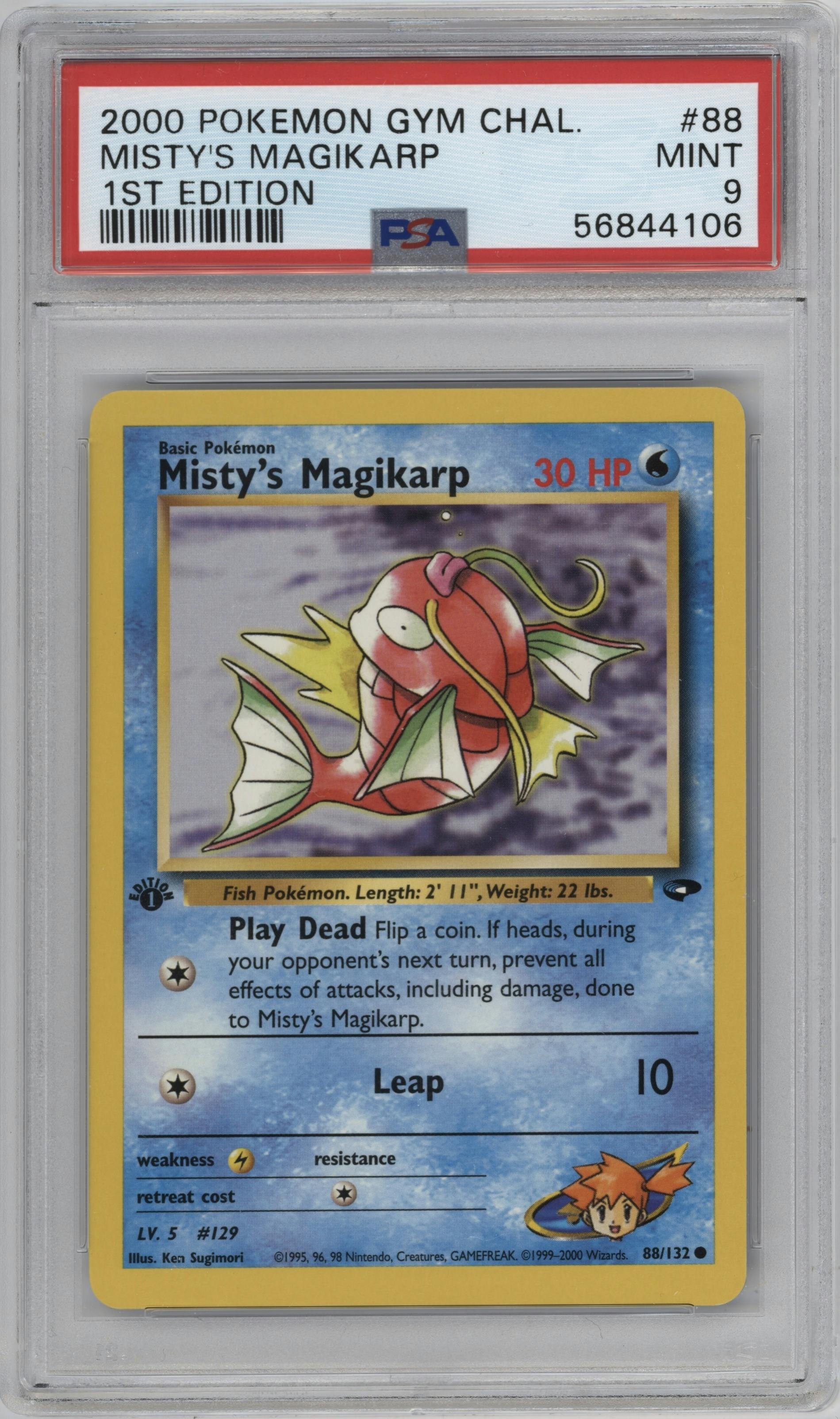 Misty's Magikarp