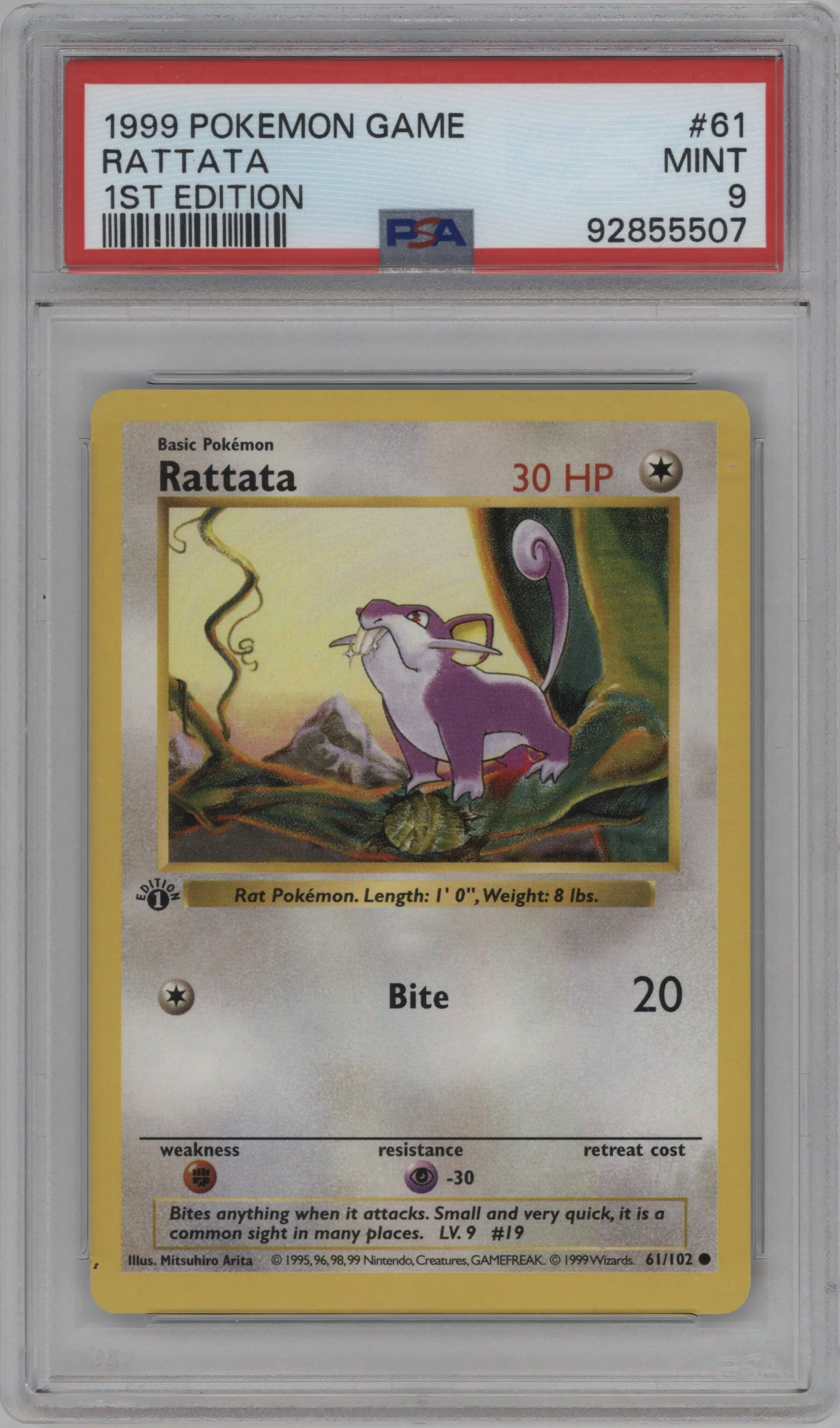 Rattata