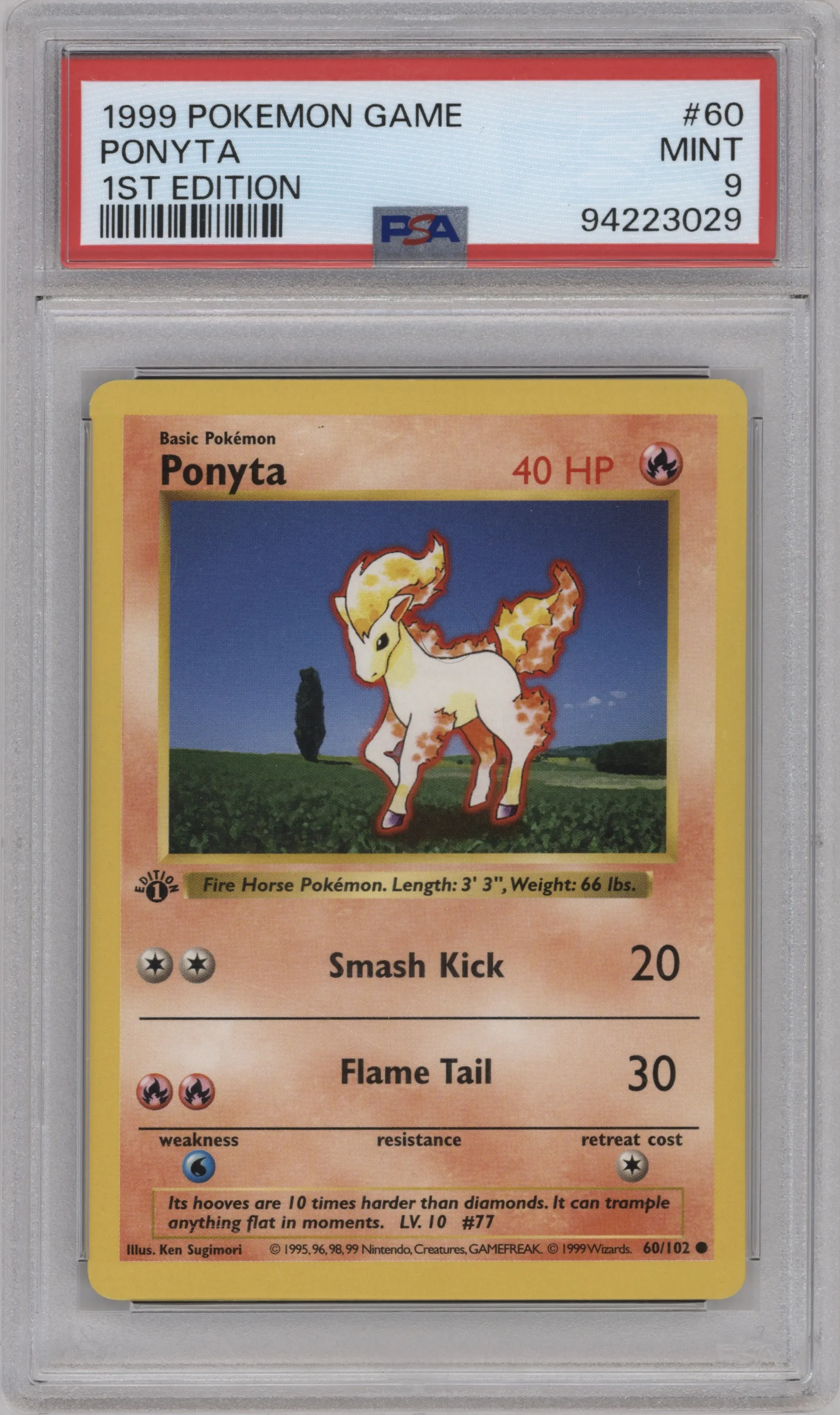 Ponyta