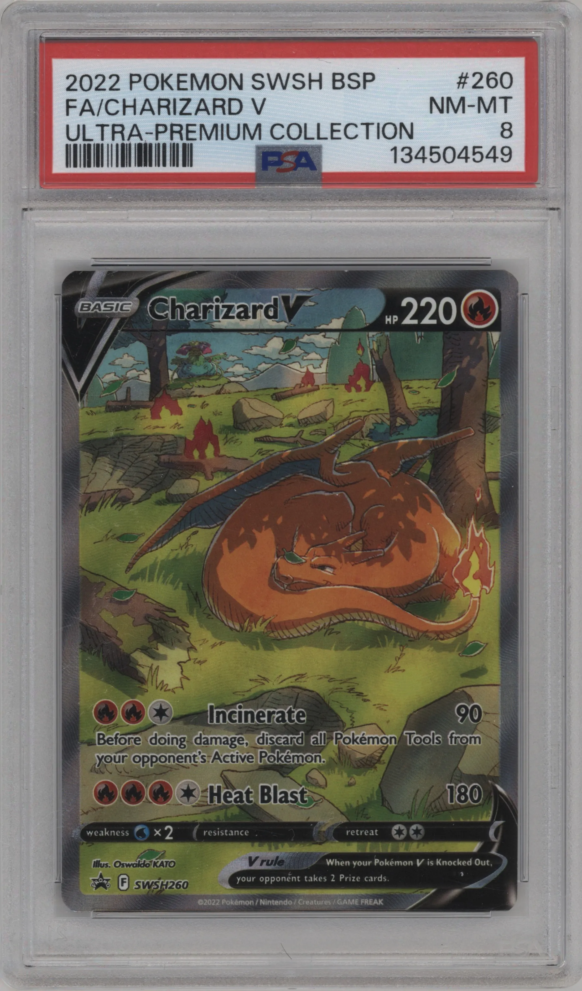 Charizard V