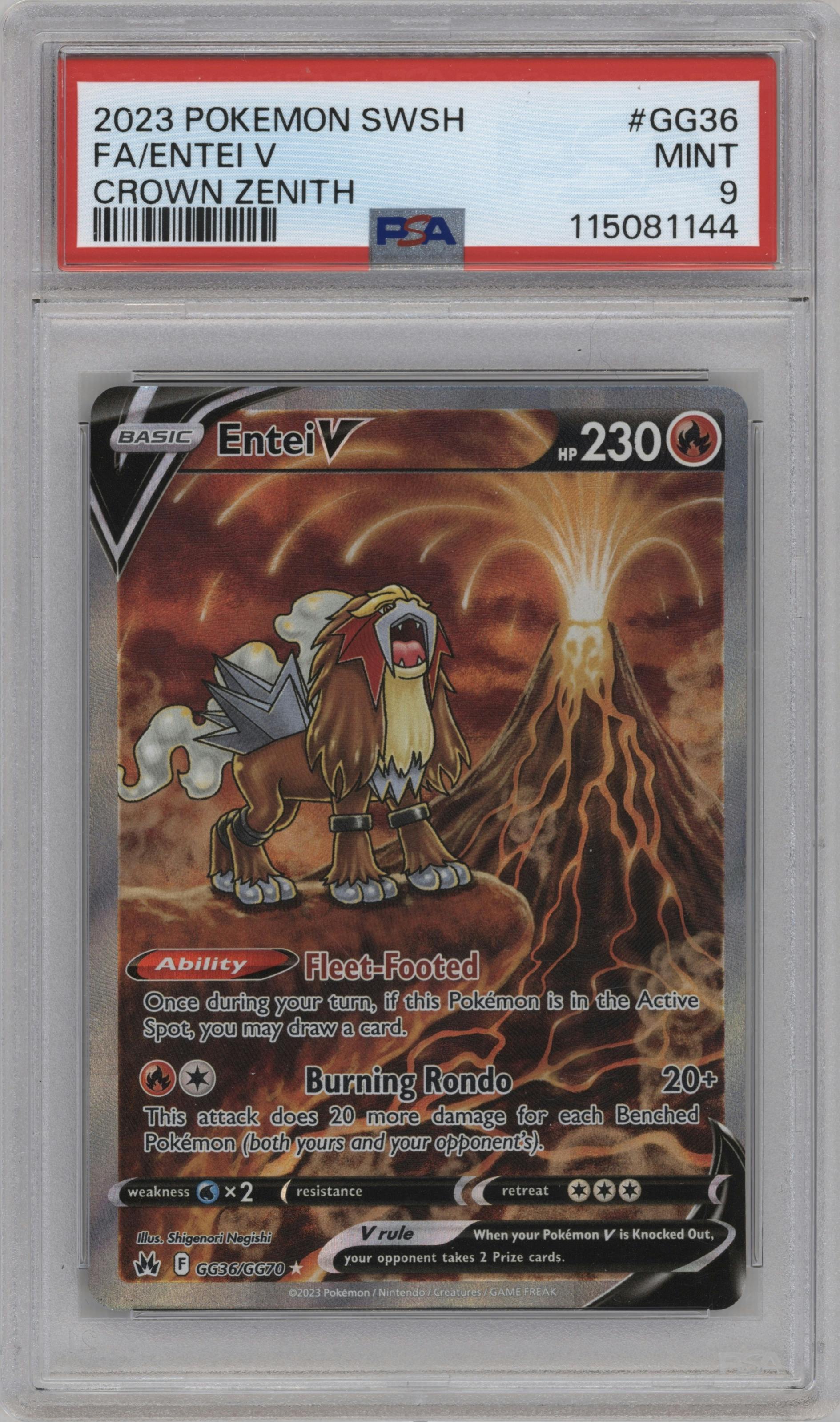 Entei V