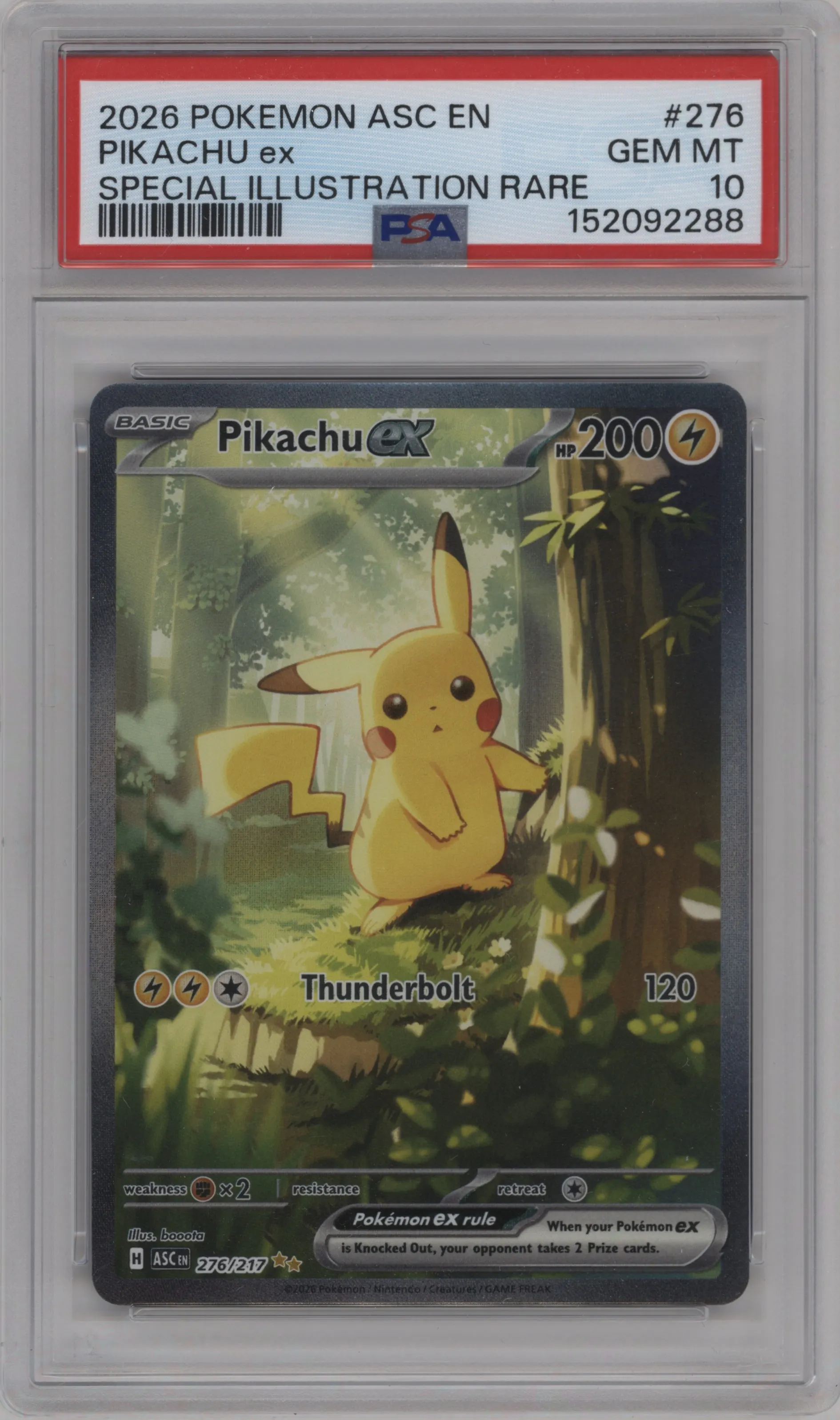 Pikachu ex
