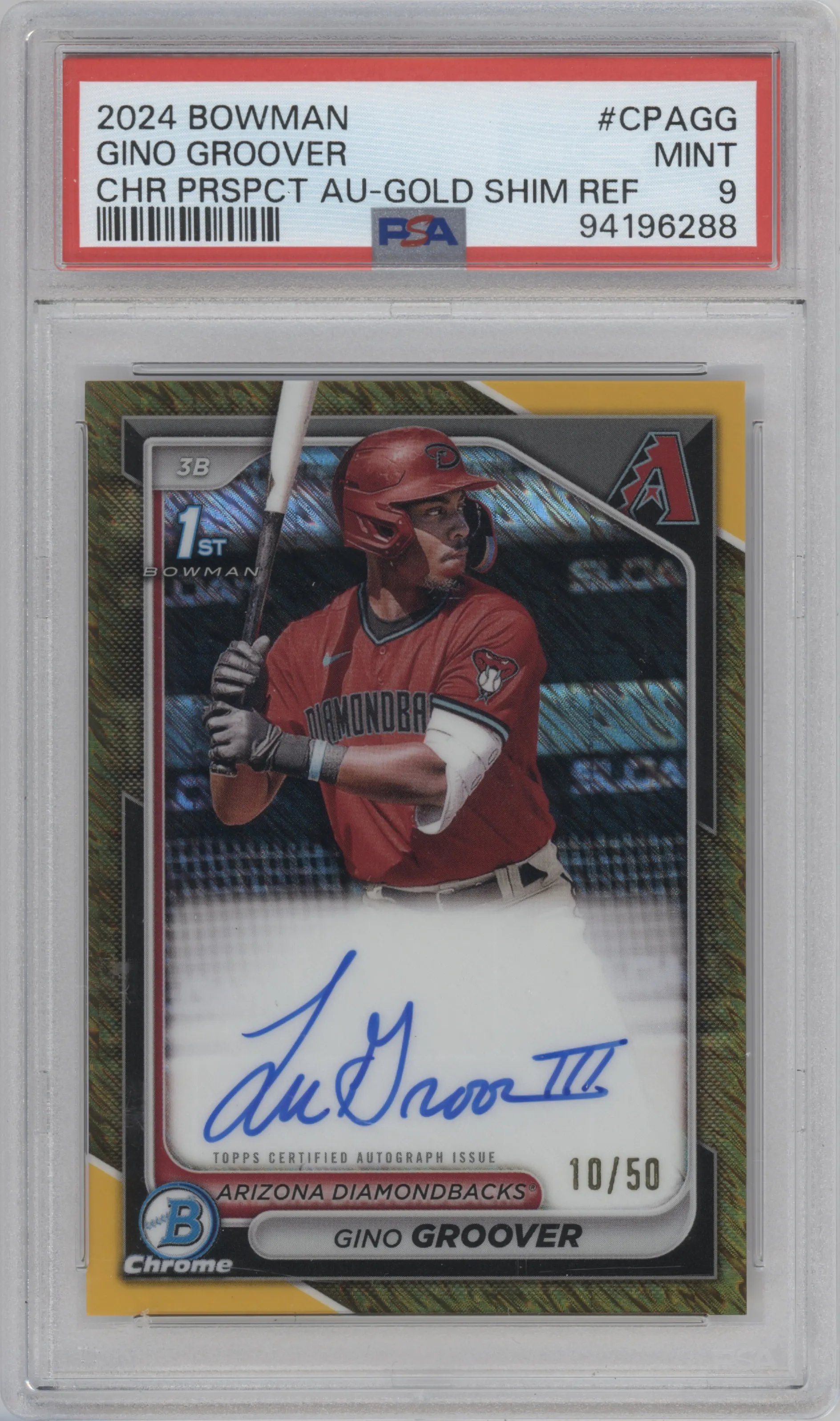 Gino Groover ARENA CLUB