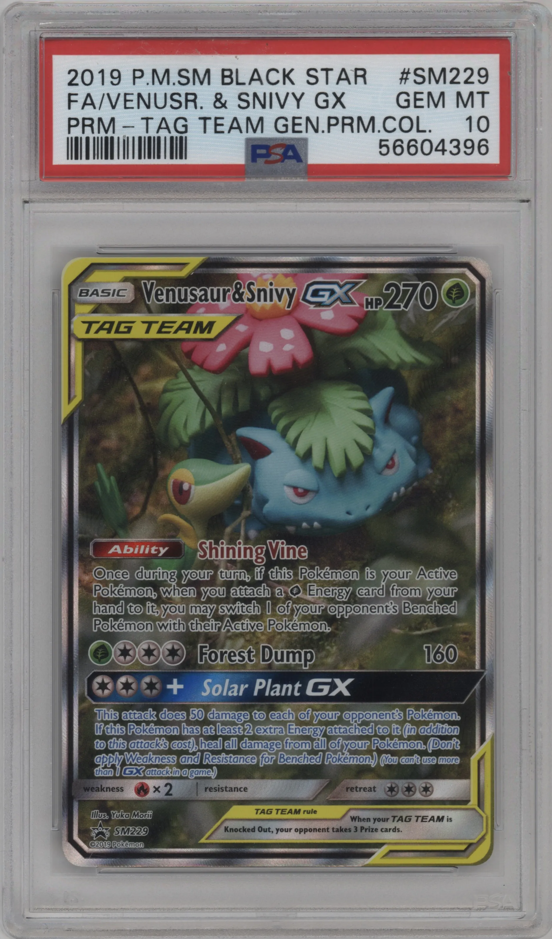 Venusaur/Snivy GX
