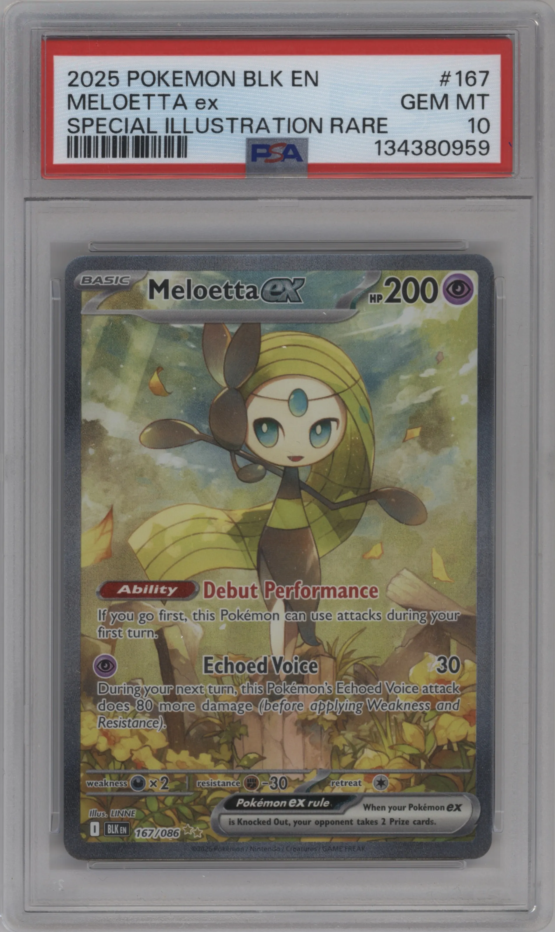 Meloetta ex