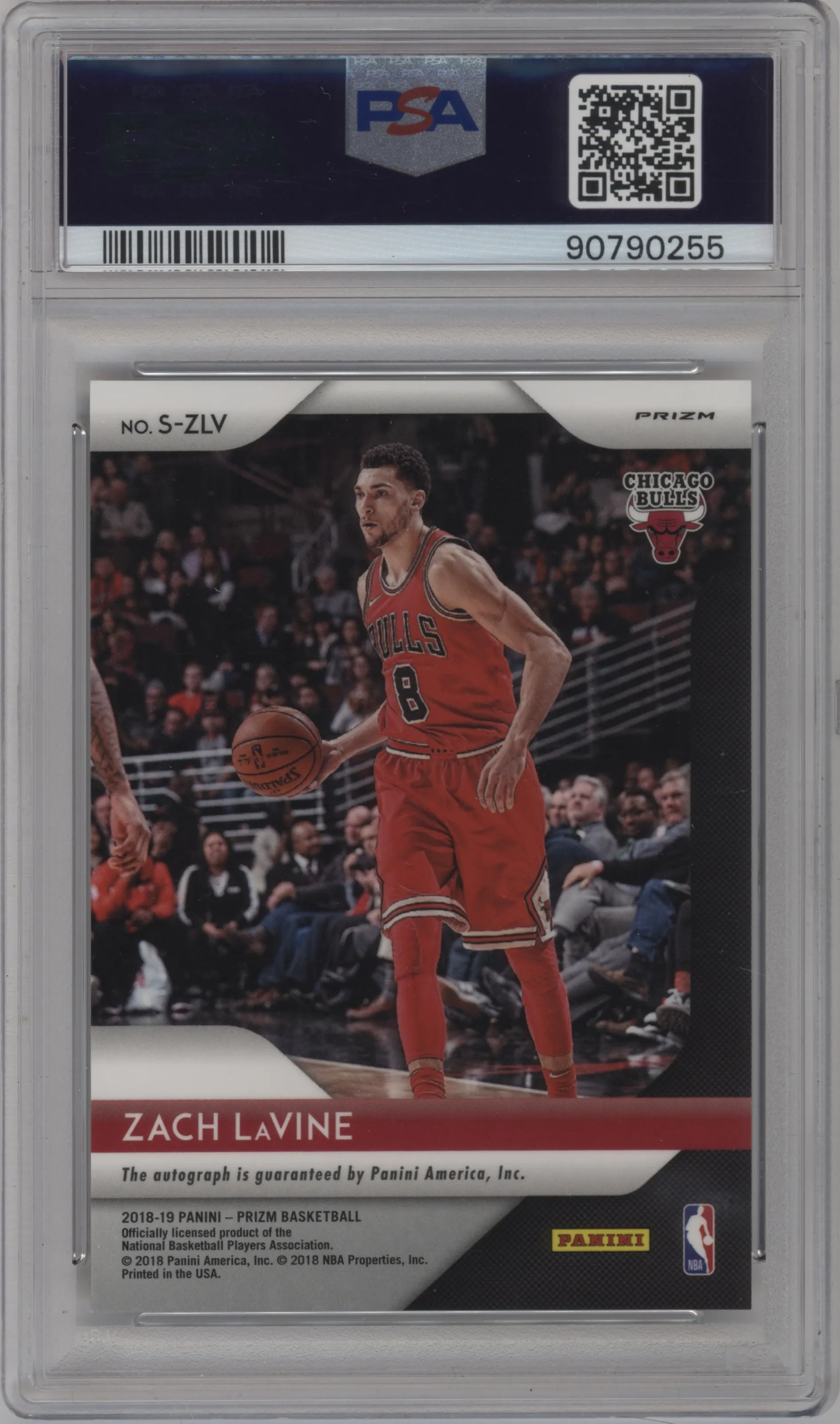 Zach LaVine