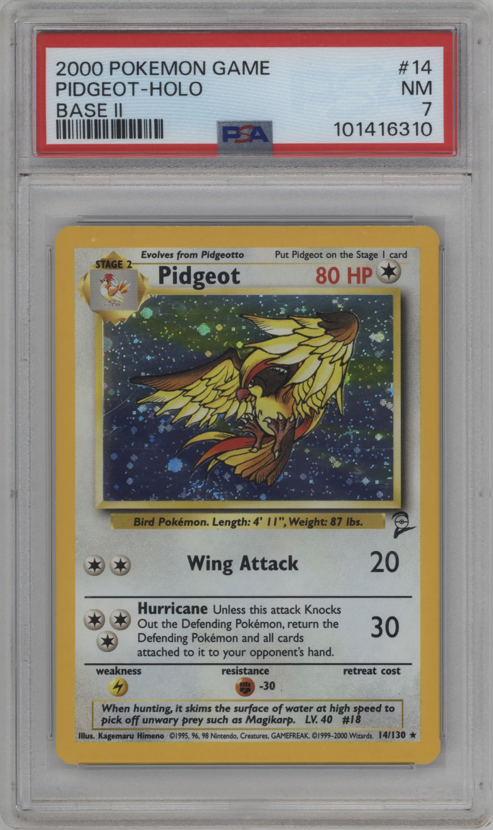 Pidgeot