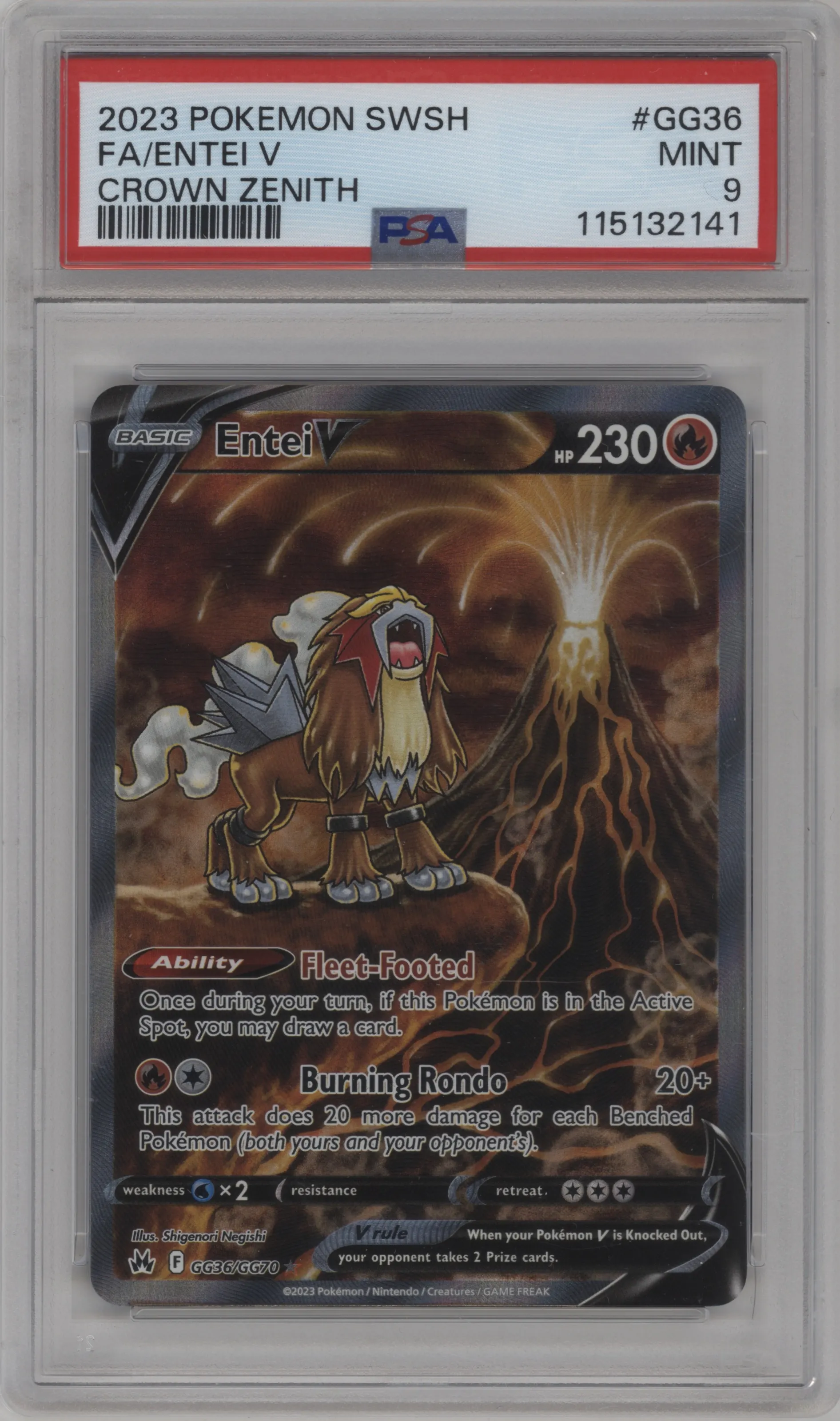 Entei V