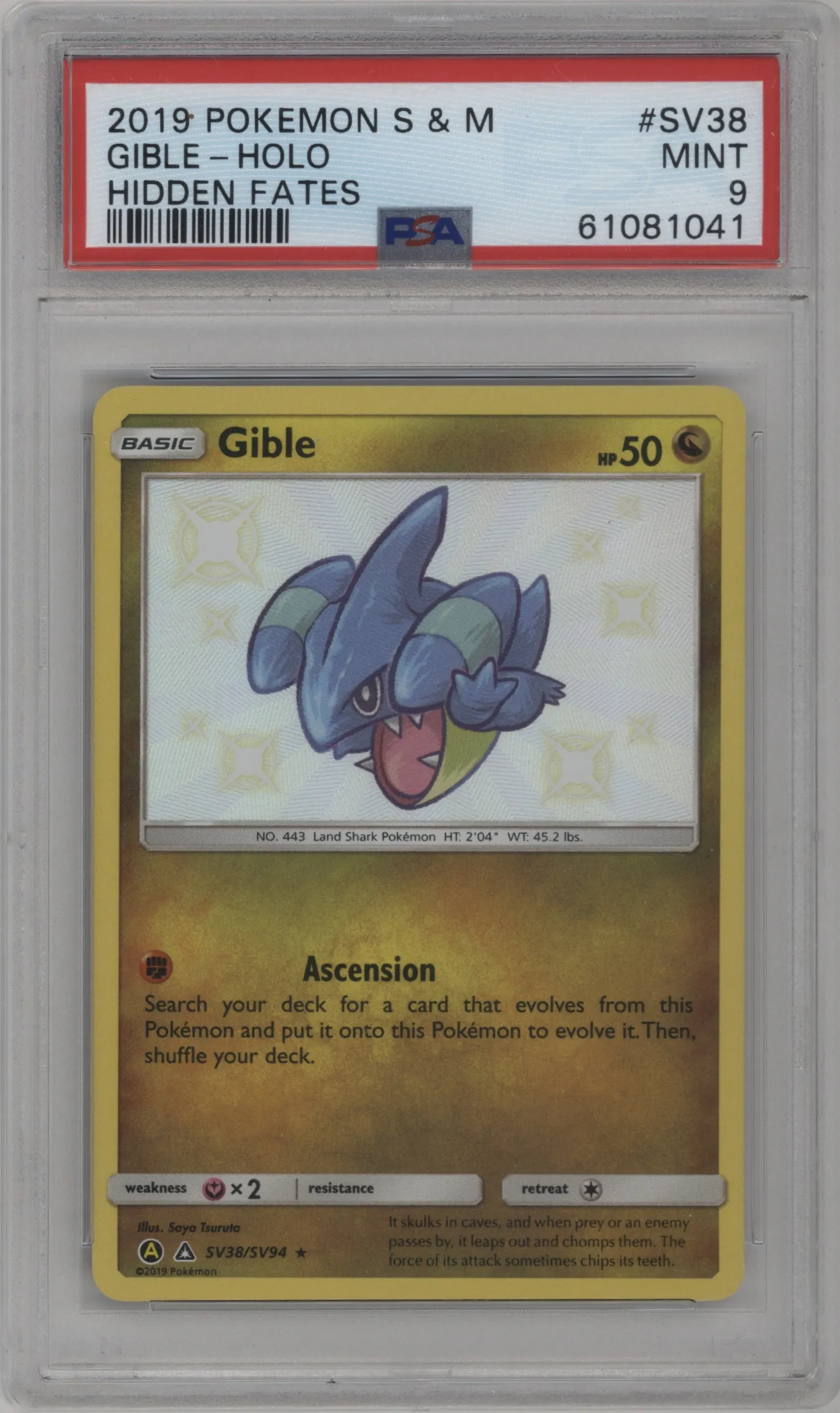 Gible
