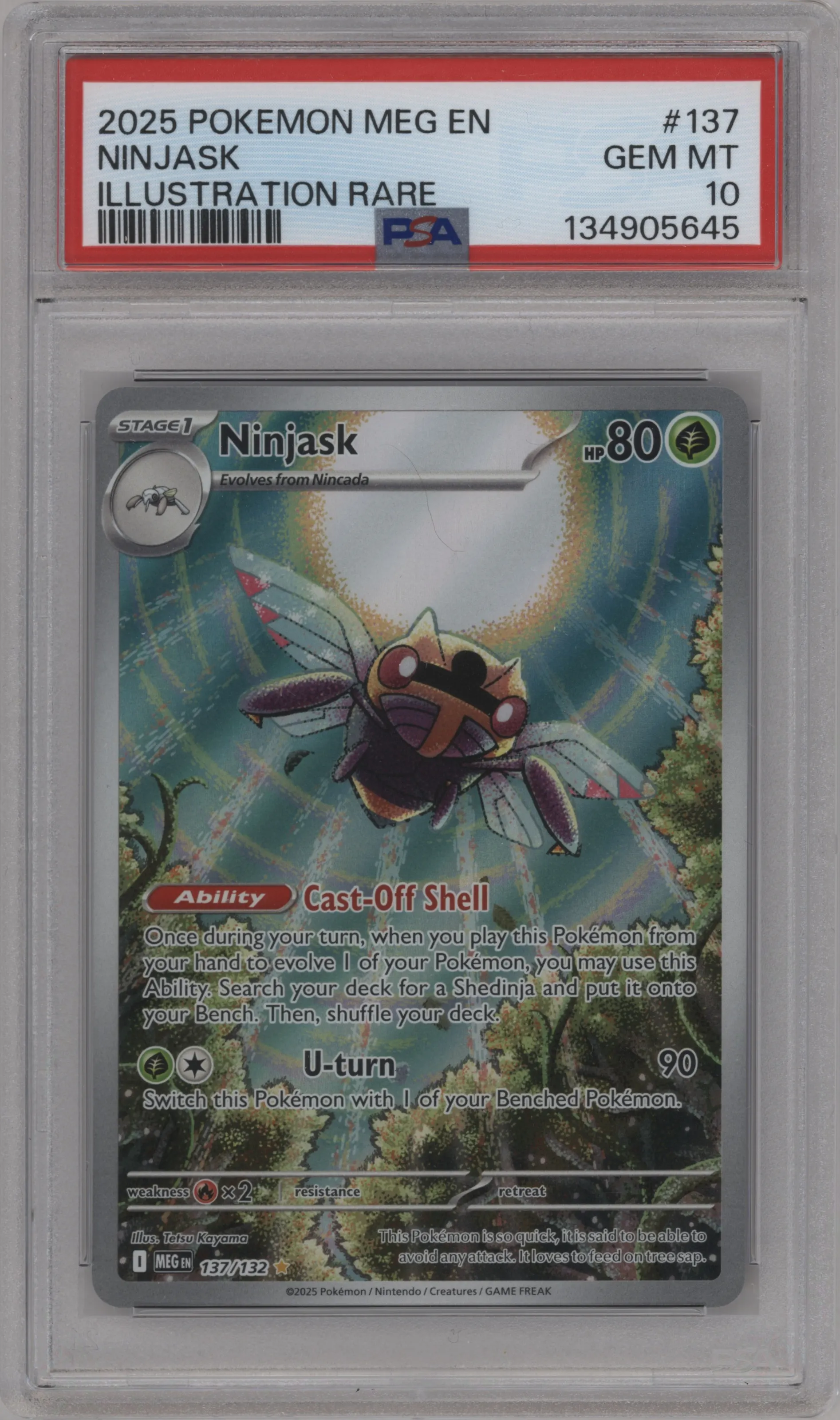 Ninjask