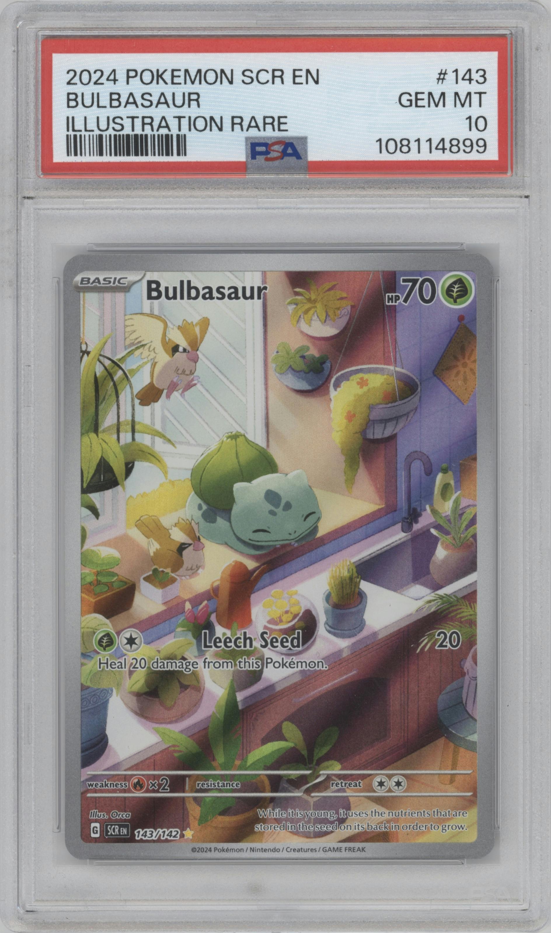 Bulbasaur from the 2024 Pokemon SV set graded by PSA and given an overall grade of 10.