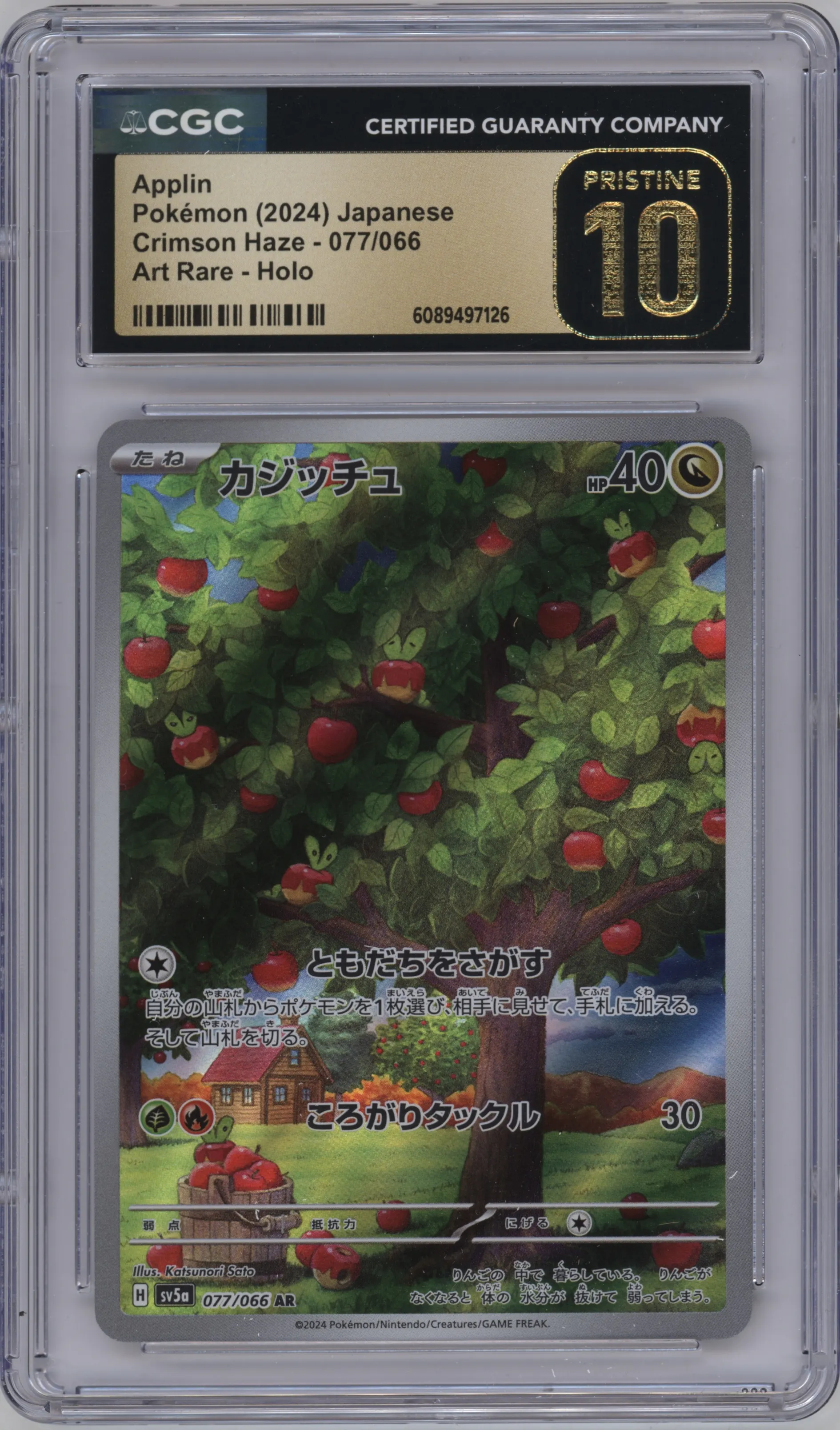 2024 Pokemon SV JPN Crimson Haze Applin #077 CGC 10