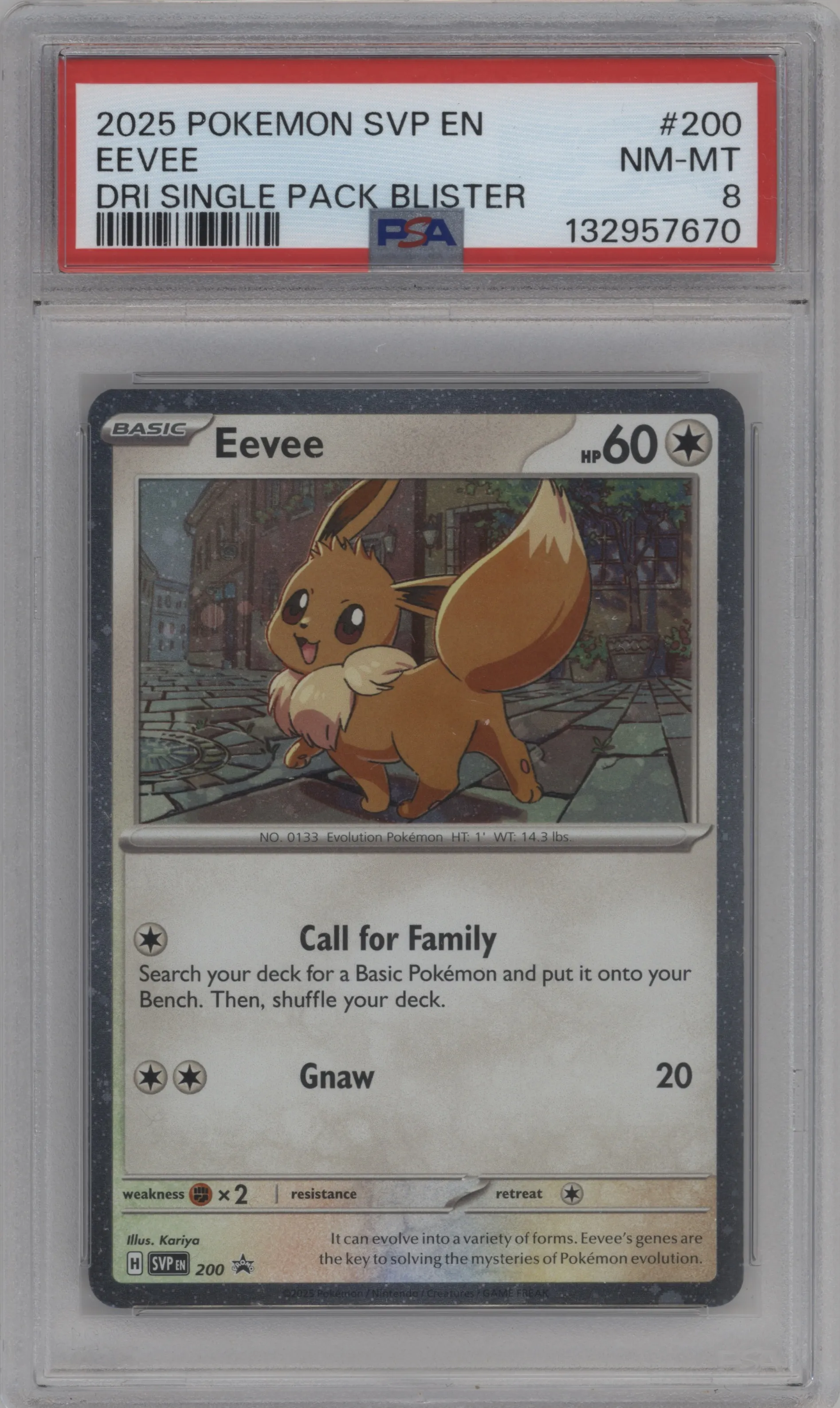 Eevee