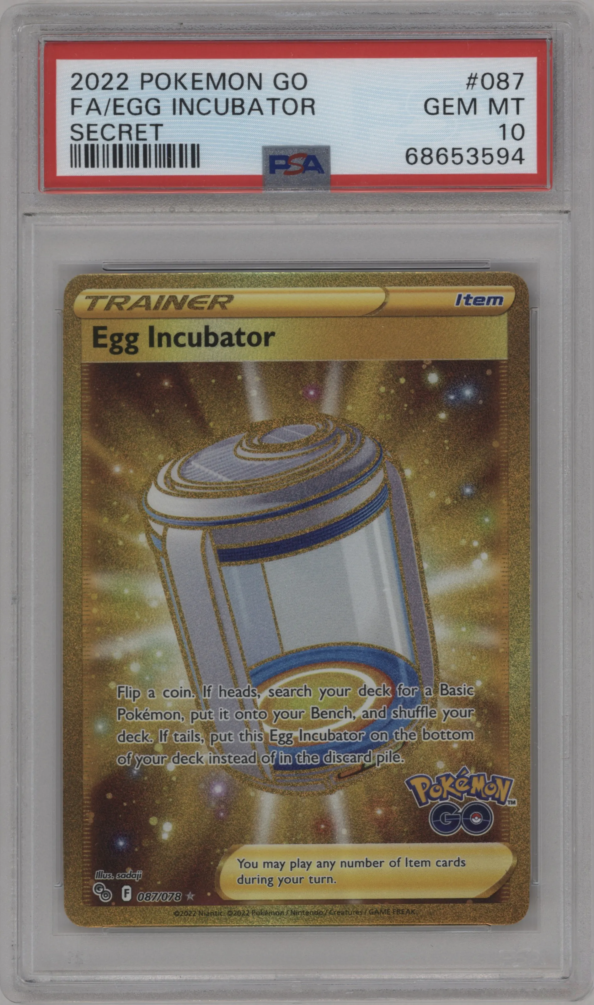 Egg Incubator