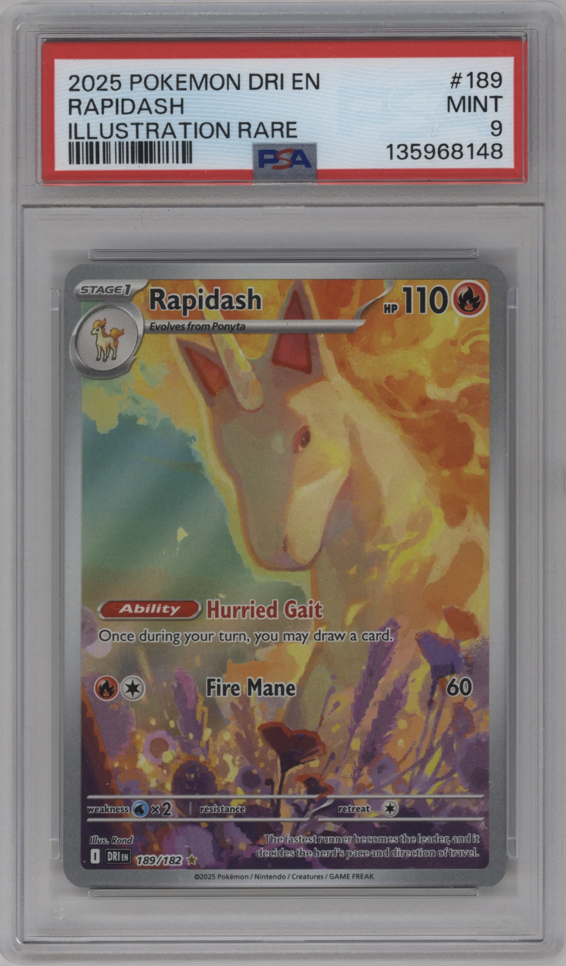 Rapidash