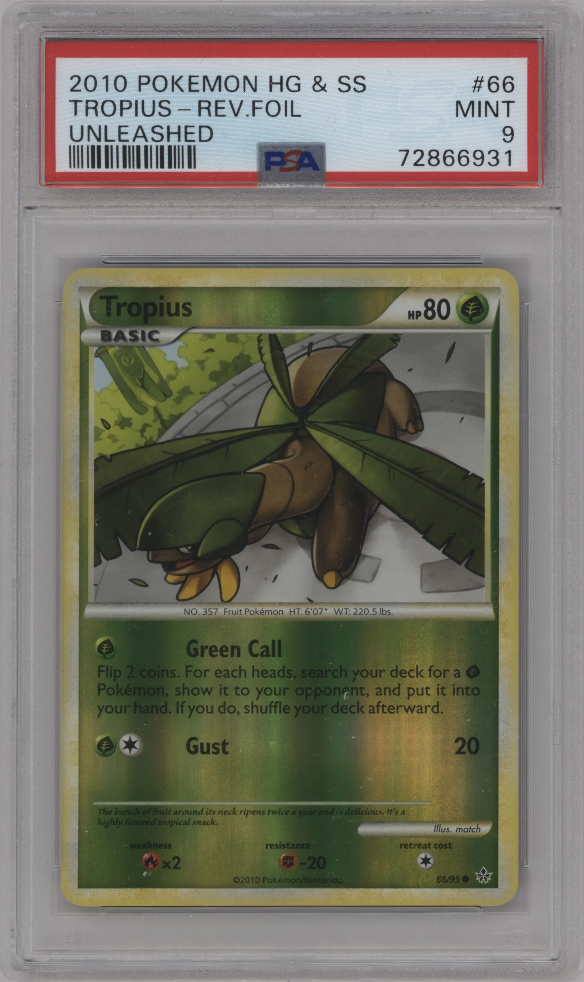 Tropius