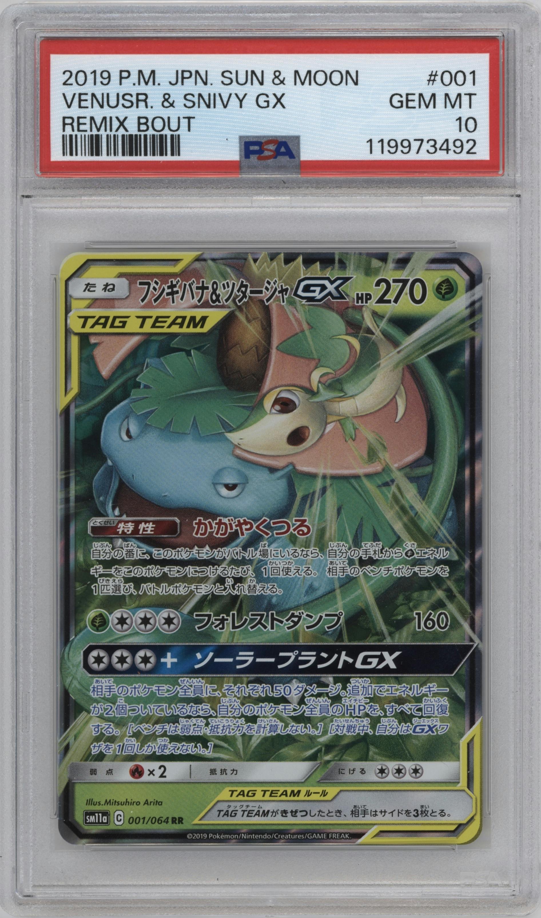 Venusaur/Snivy GX