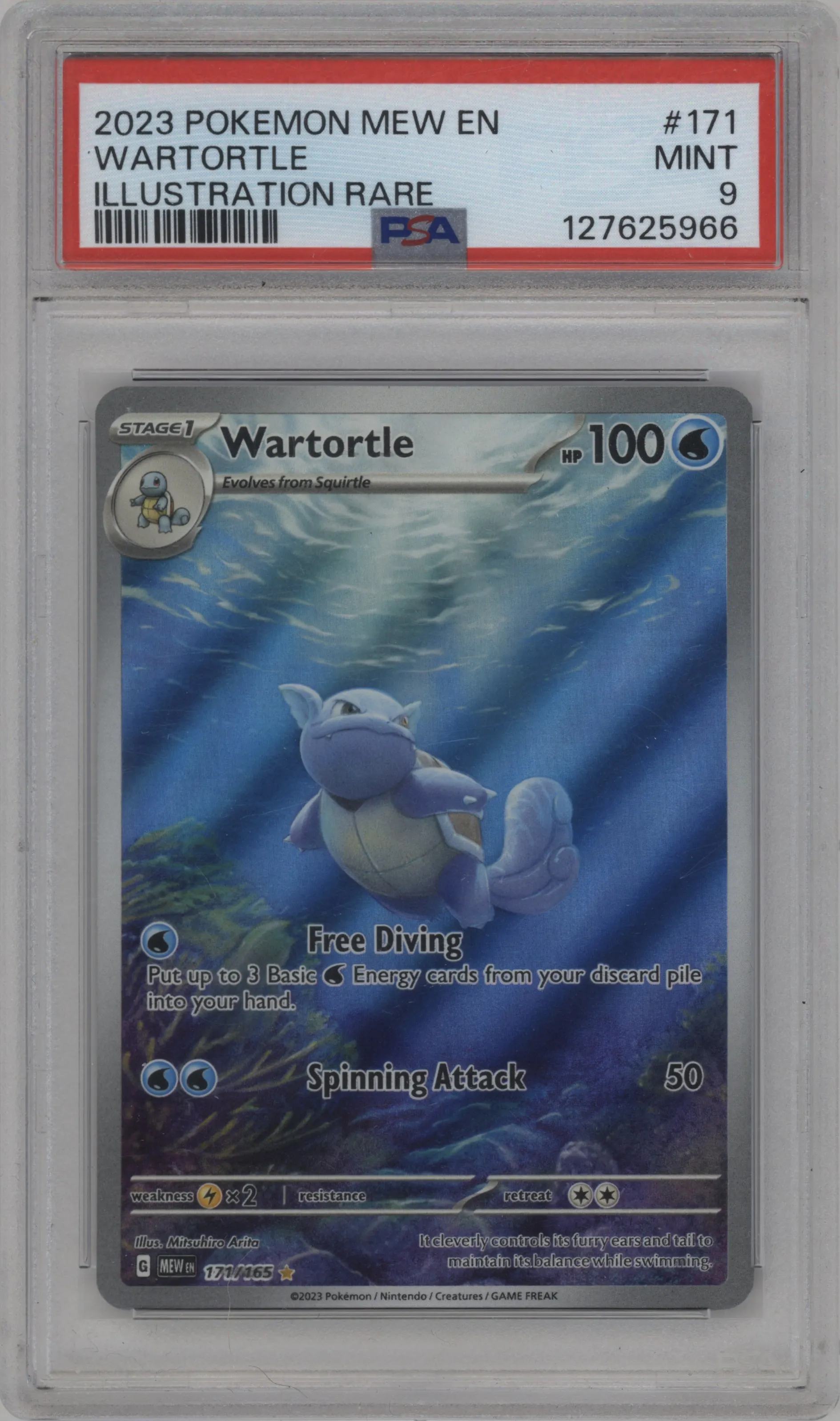 Wartortle