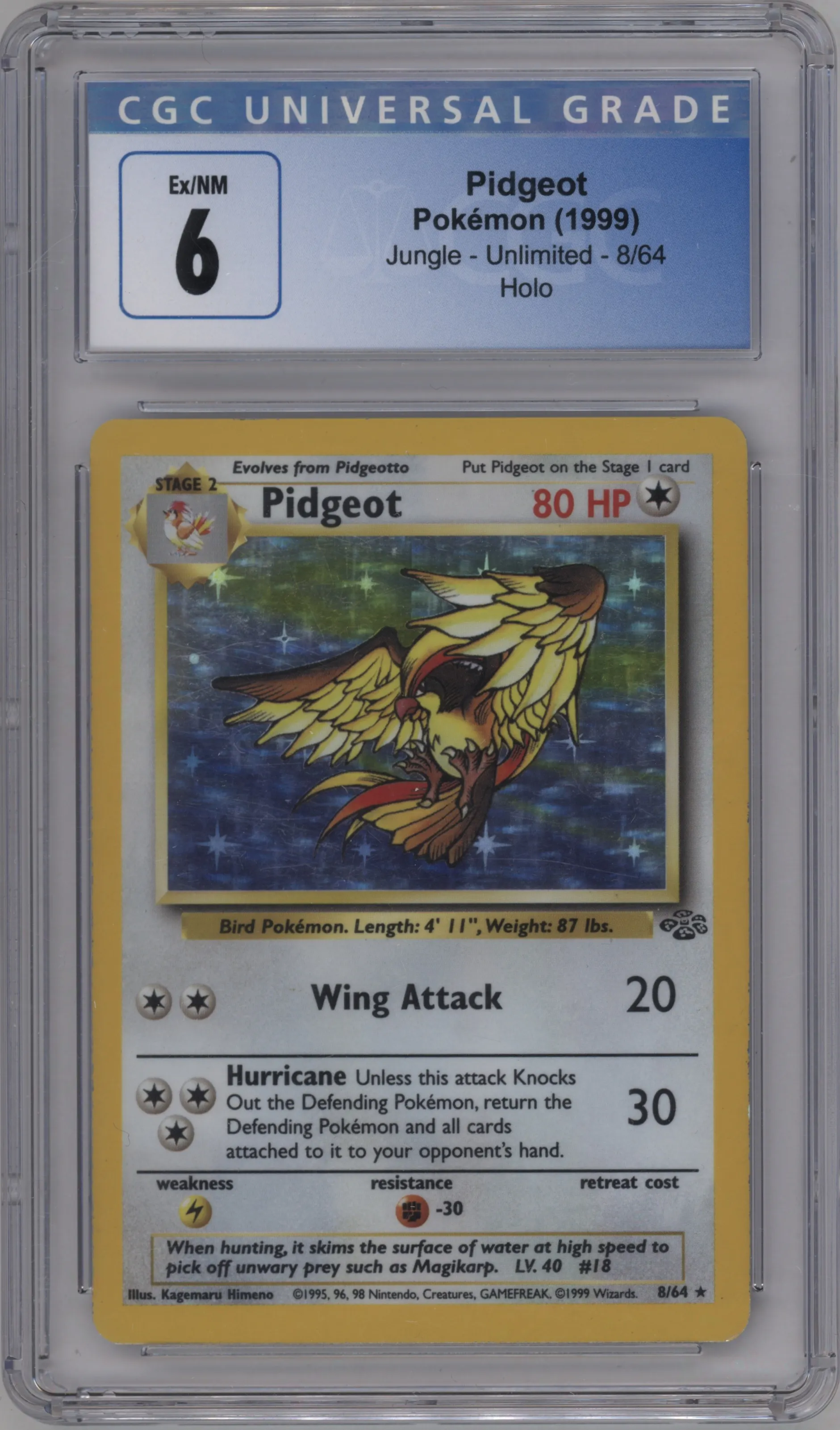 Pidgeot